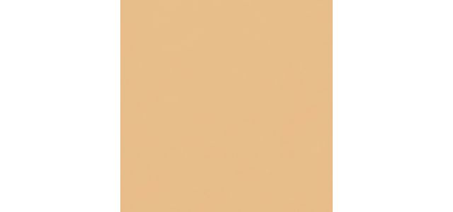 Warm Beige