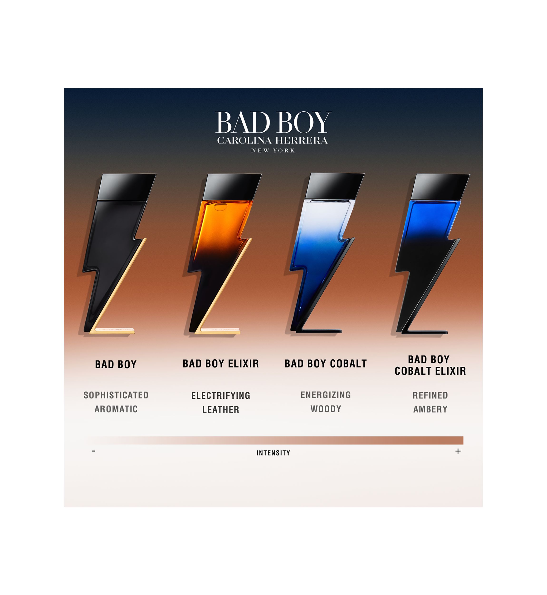   Bad Boy Eau de Toilette 