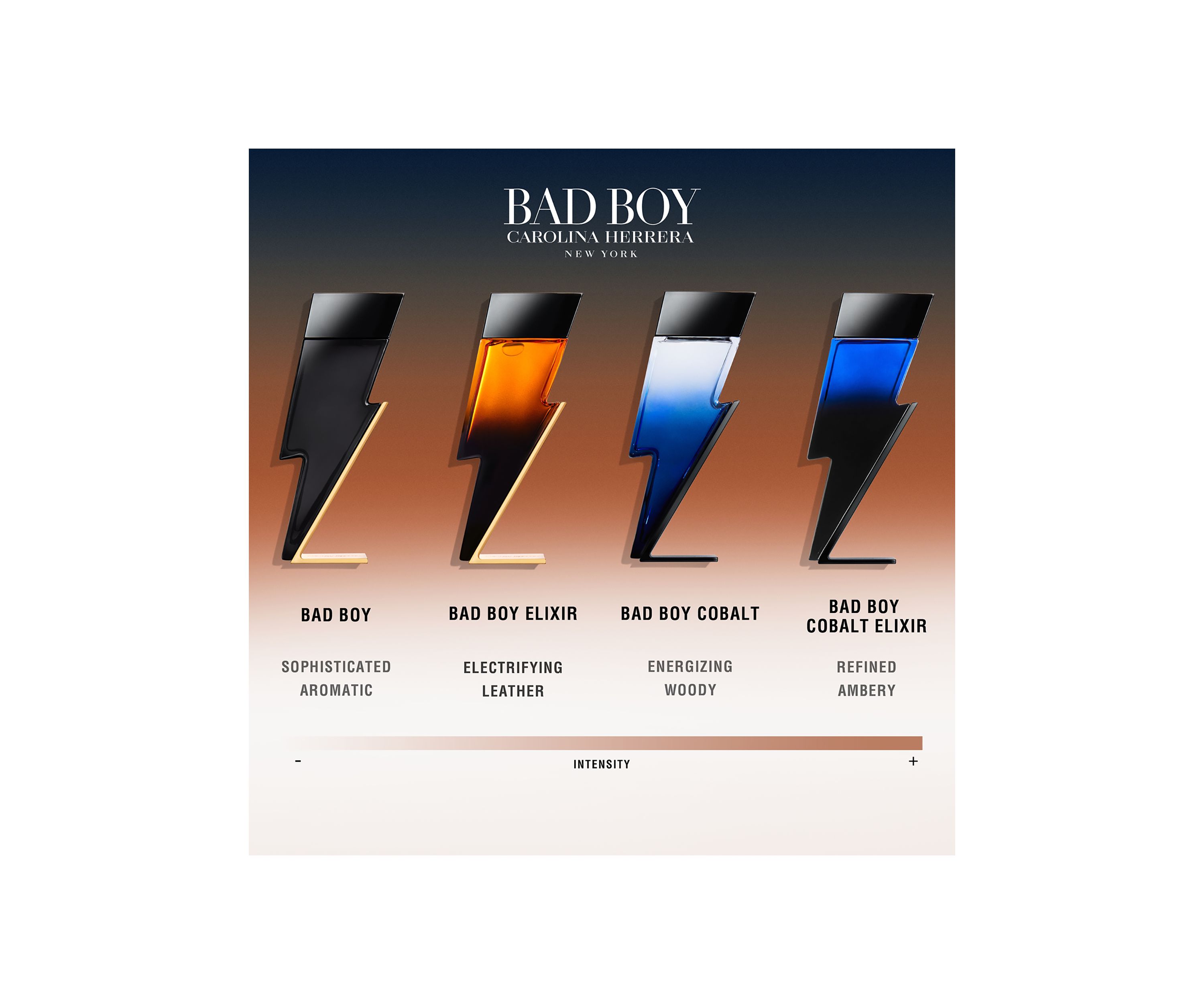   Bad Boy Eau de Toilette 