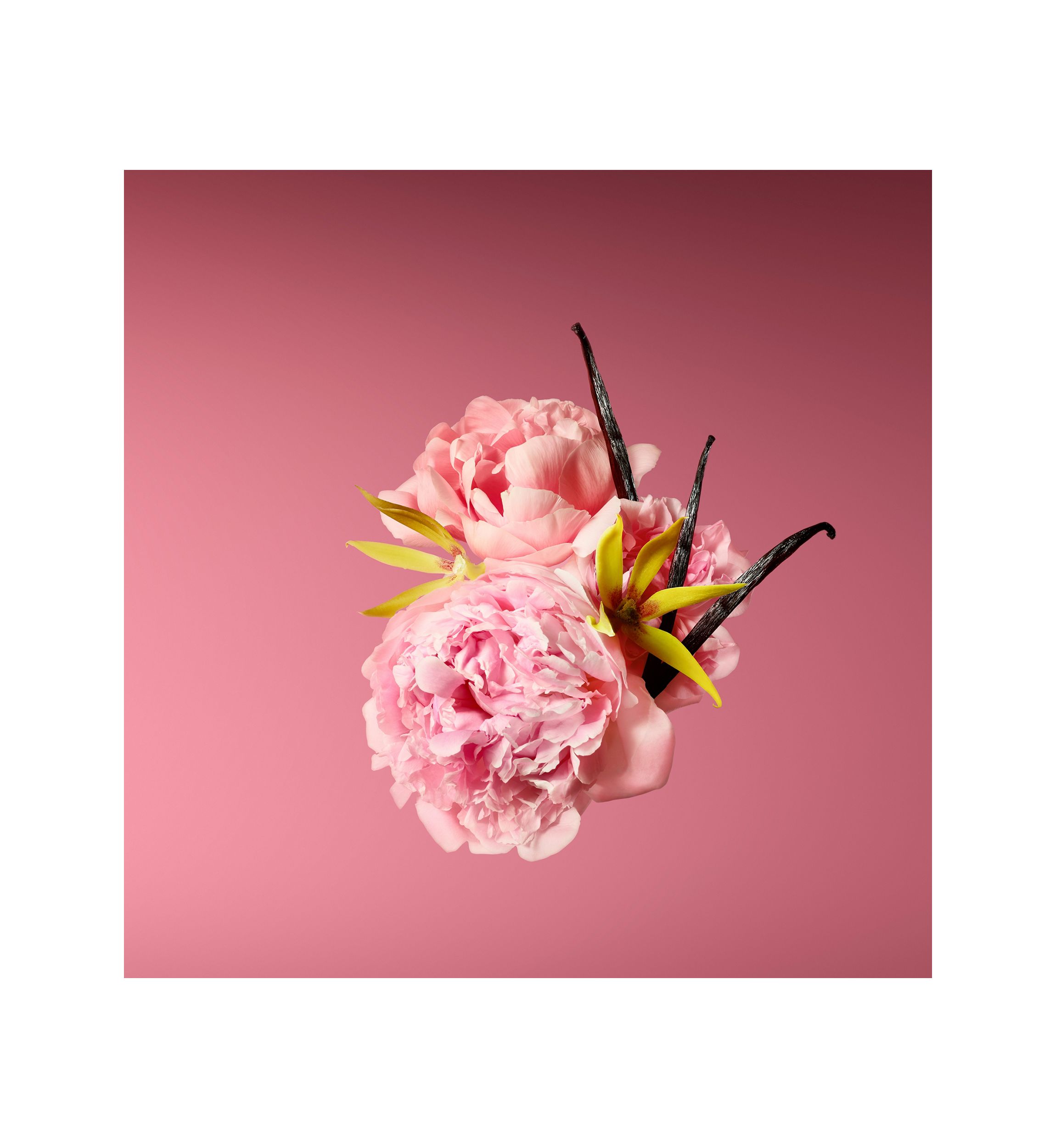 Good Girl Blush Bowtastic Collectors Edition Eau de Parfum