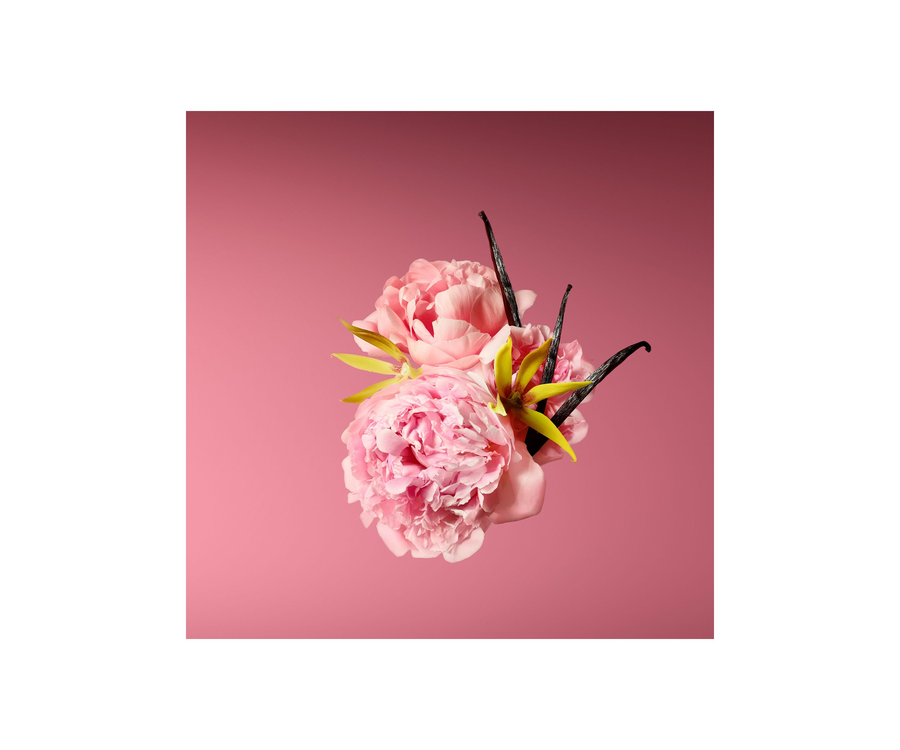 Good Girl Blush Bowtastic Collectors Edition Eau de Parfum