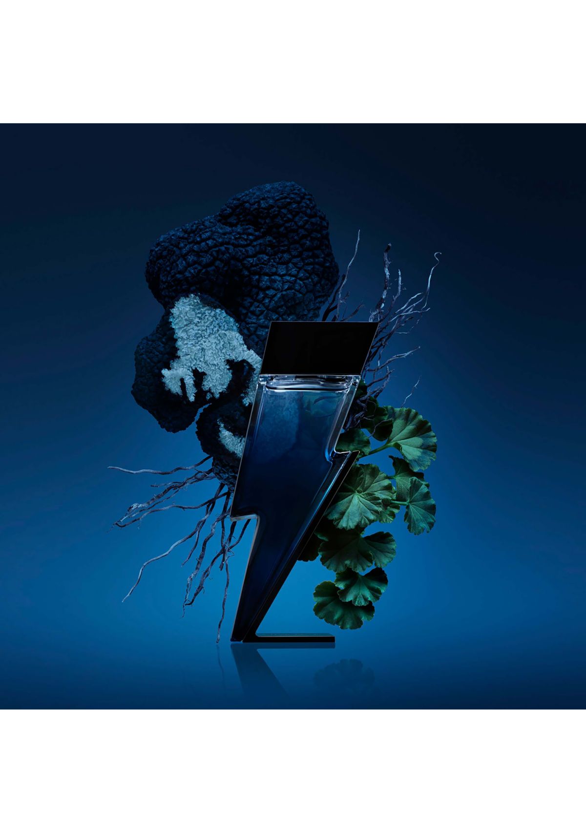Bad Boy Cobalt Eau de Parfum 