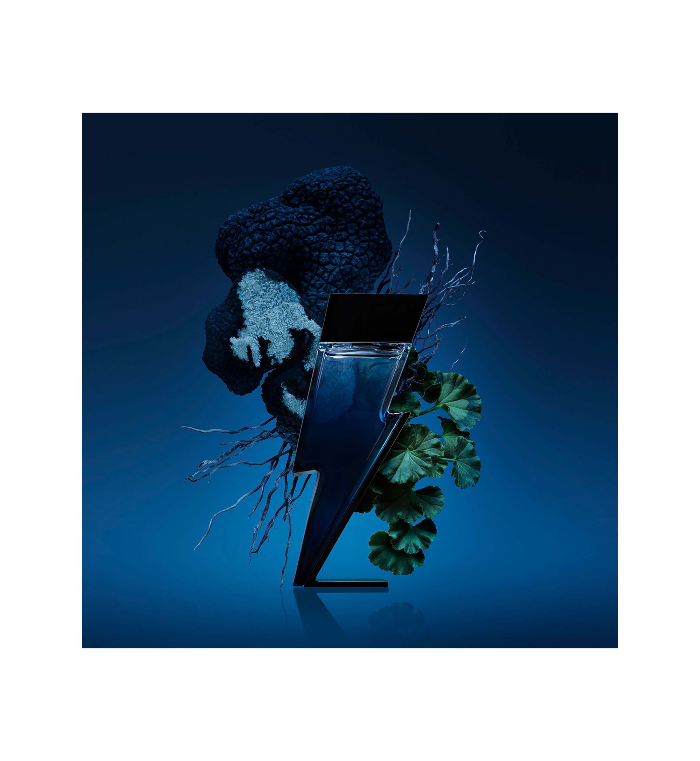 Bad Boy Cobalt Eau de Parfum 