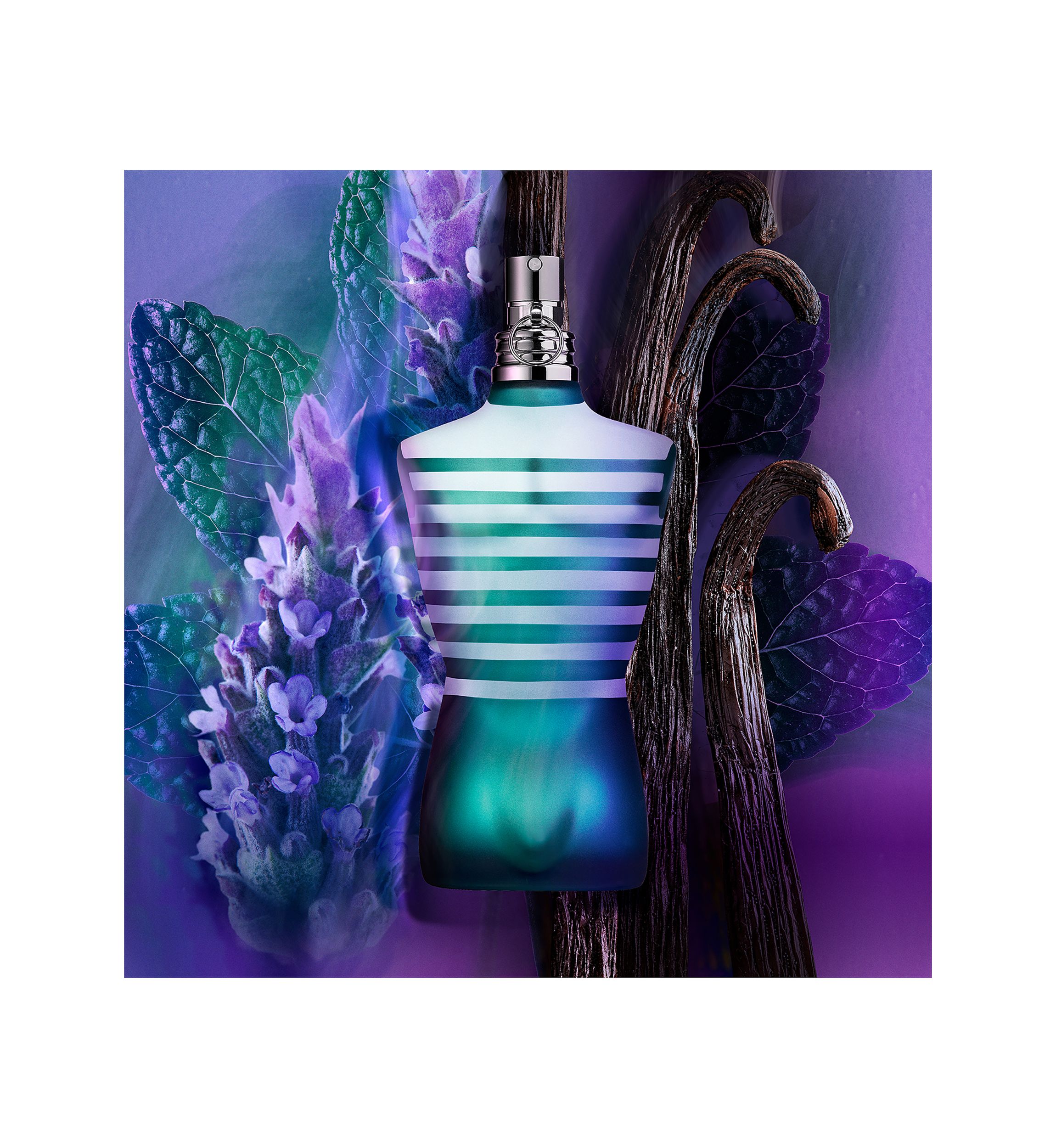LE MALE Eau de Toilette