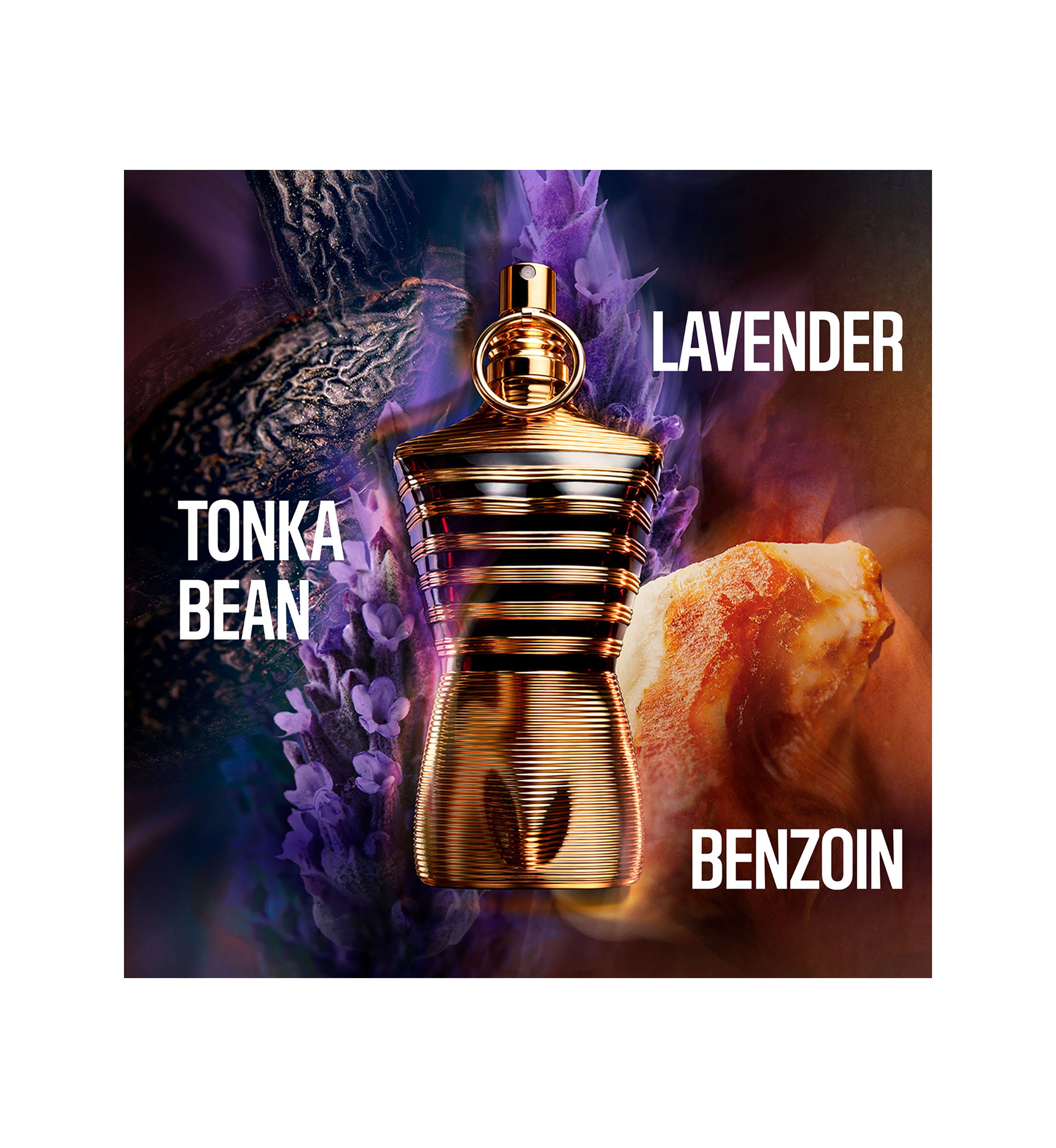 Le Male Elixir