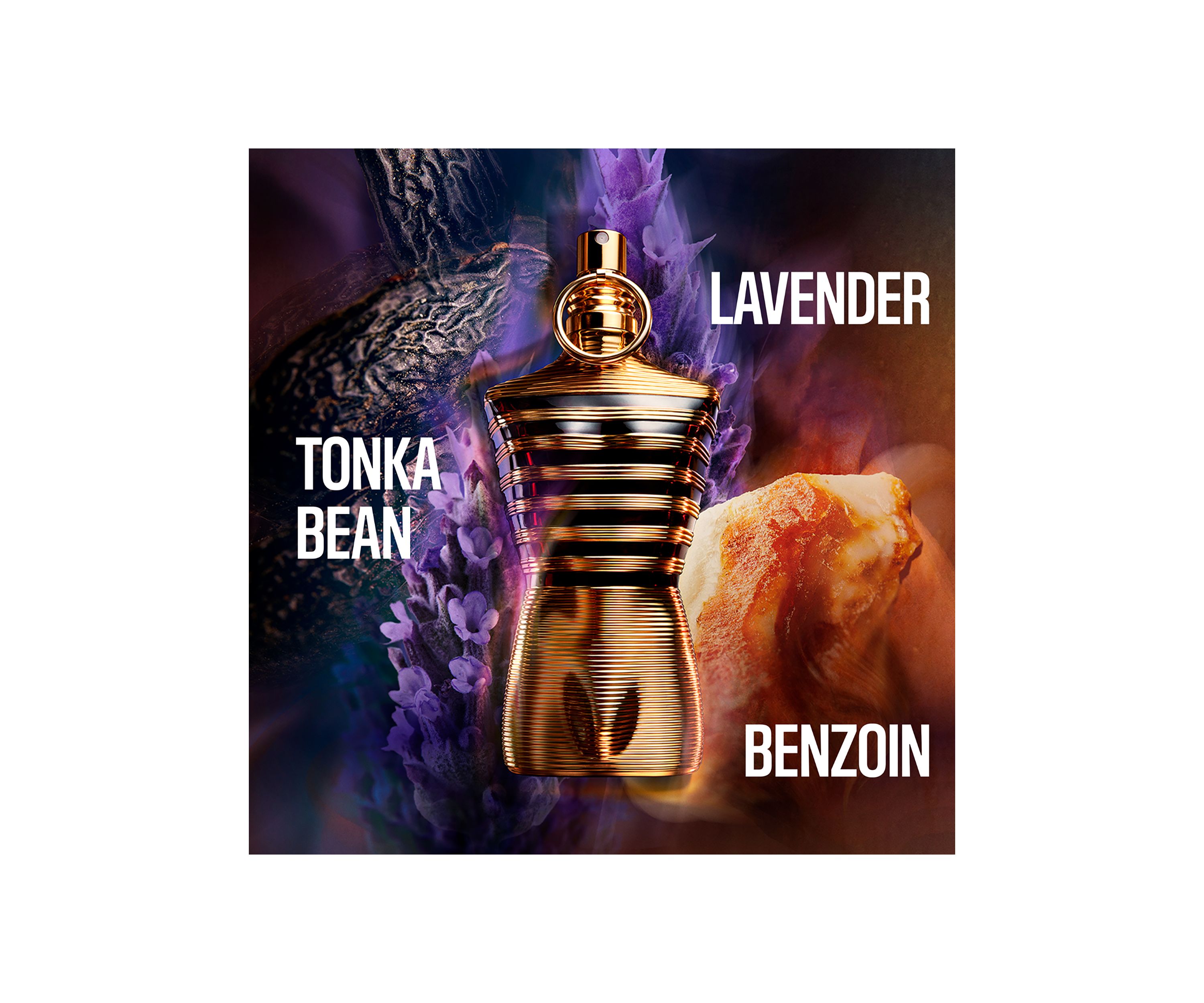 Le Male Elixir