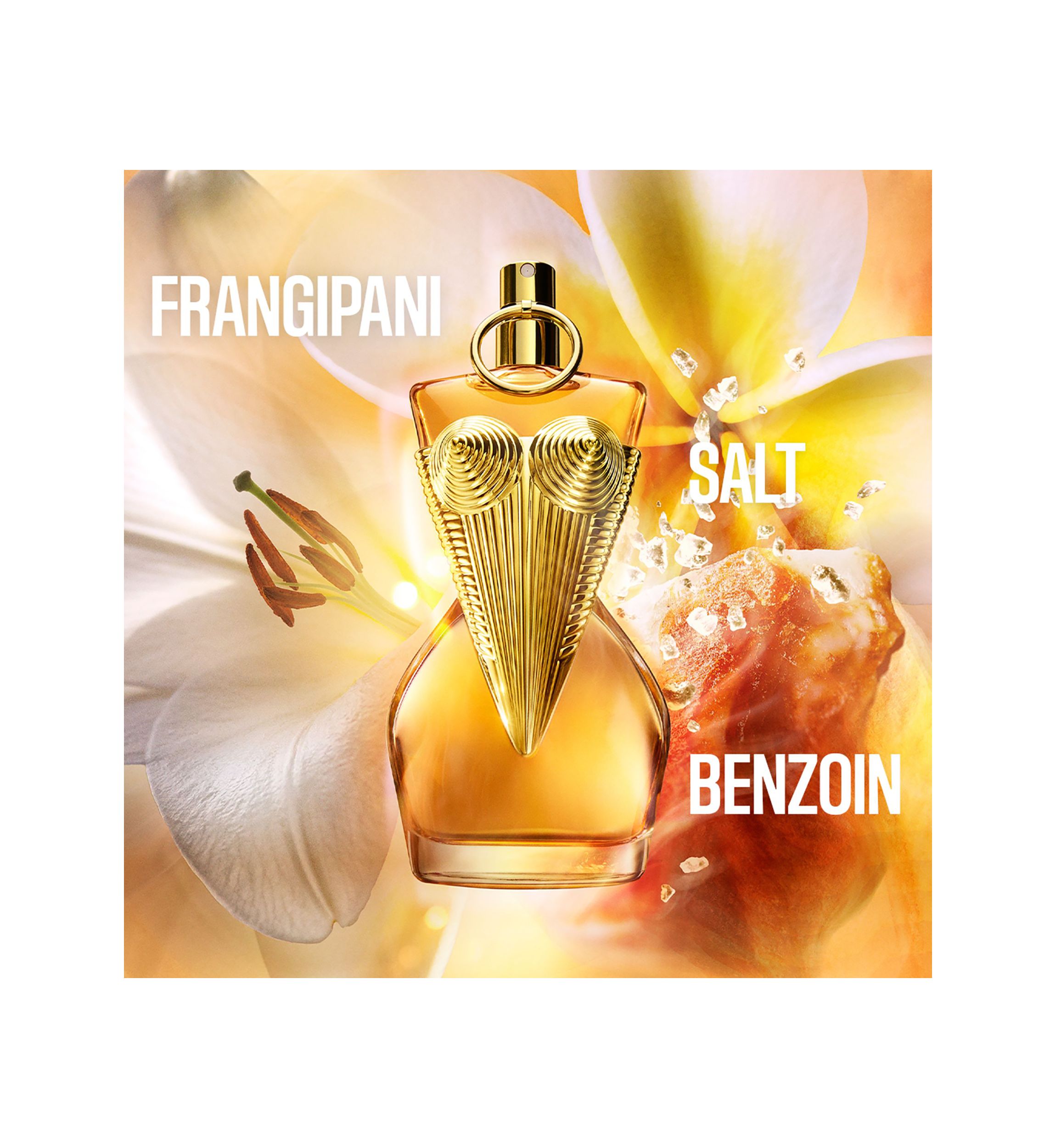   Gaultier Divine Le Parfum 