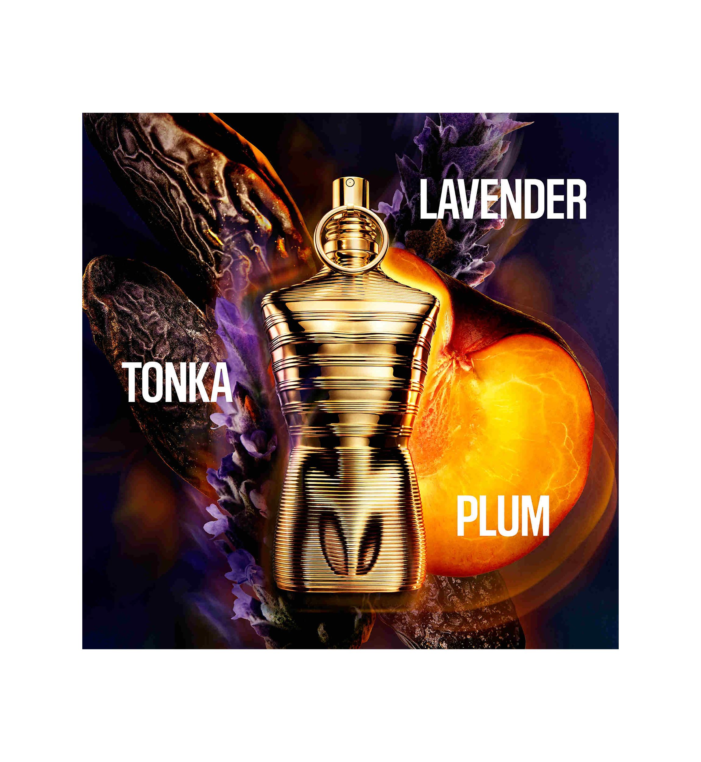 Le Male Elixir Absolu Parfum Intense