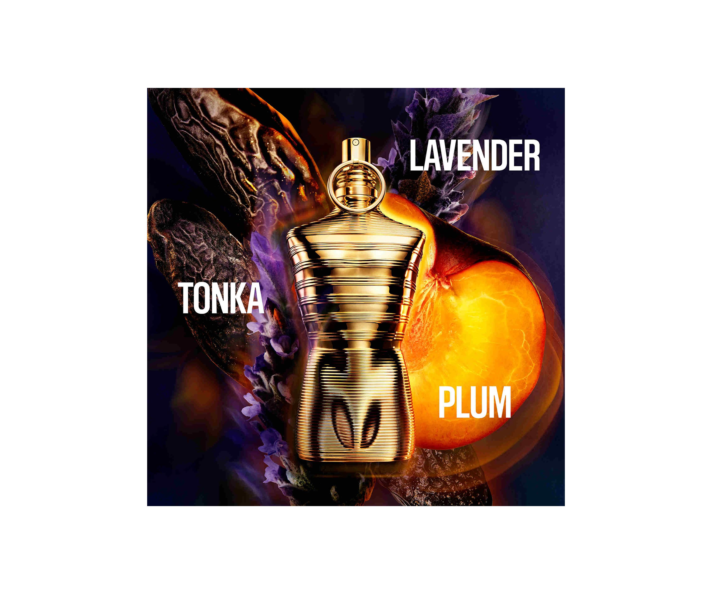 Le Male Elixir Absolu Parfum Intense