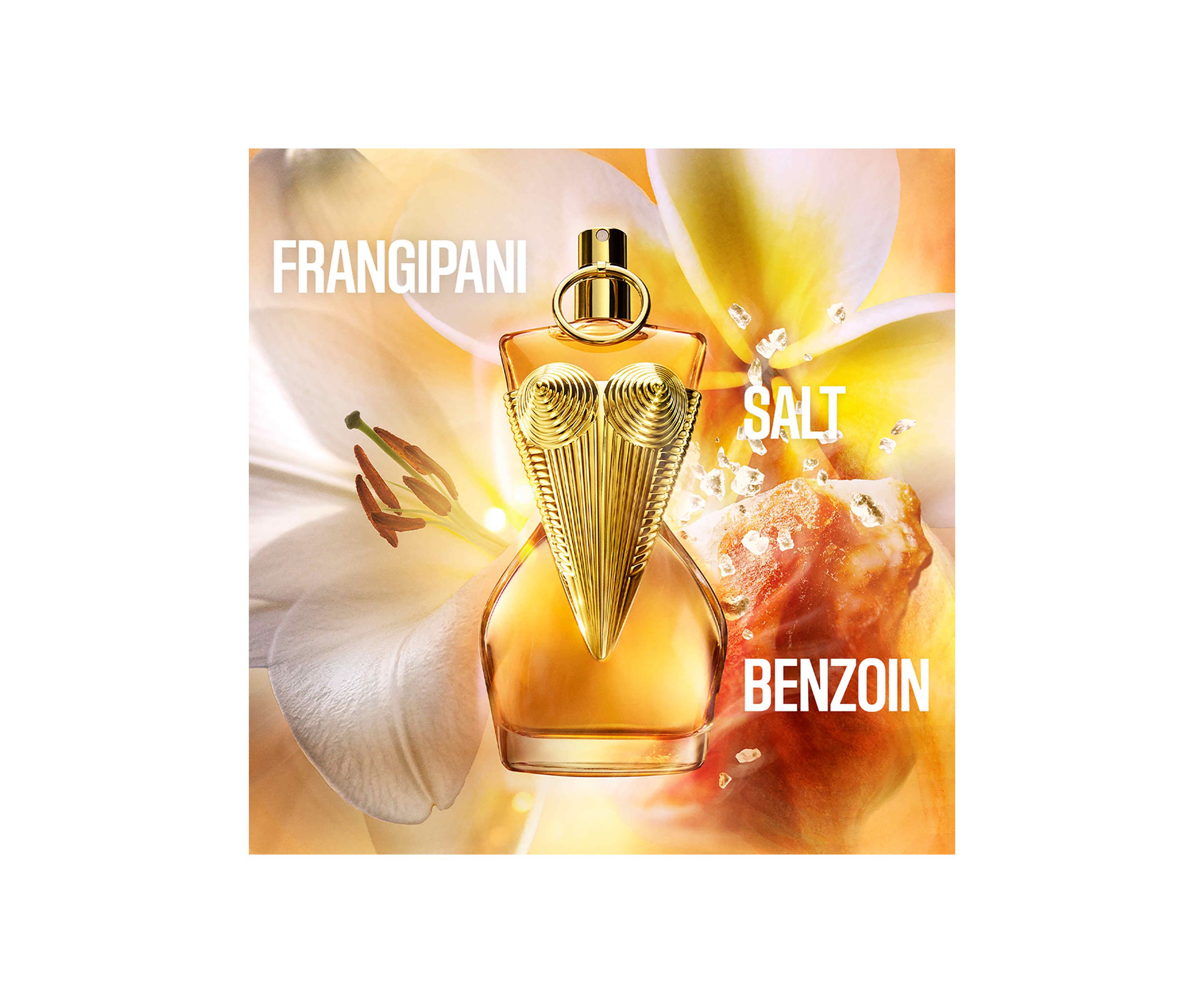Divine Le Parfum 2-Piece Womens Gift Set