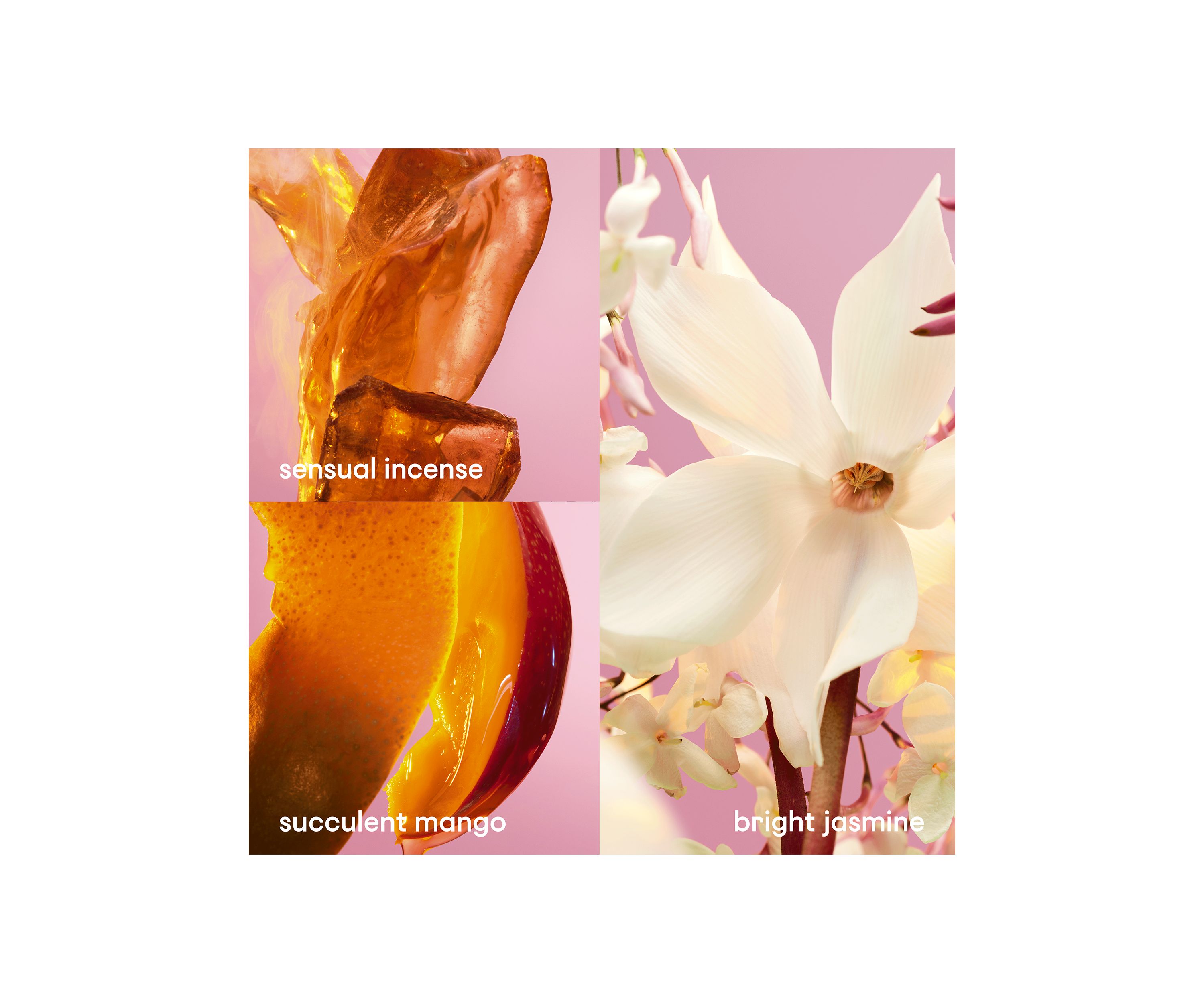 Fame Body Lotion 