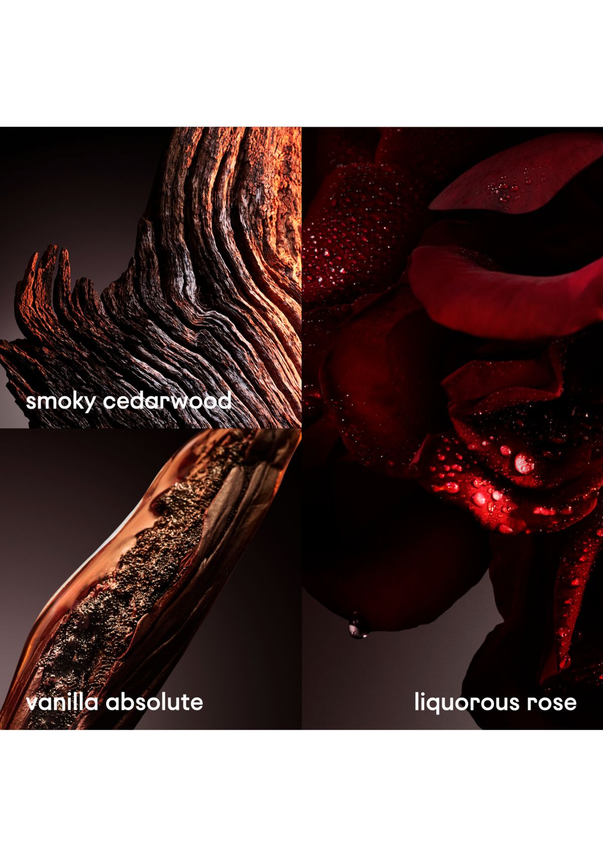 1 Million Elixir Parfum Intense