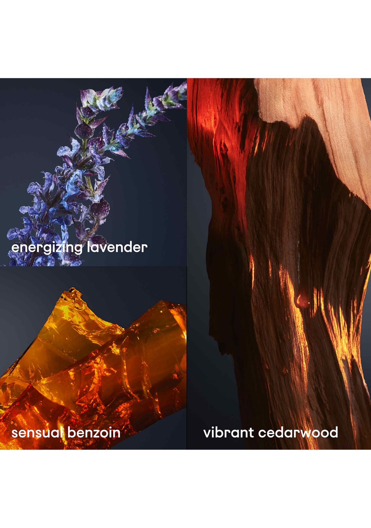 1 Million Royal Parfum 3-Piece Gift Set - $208 Value!