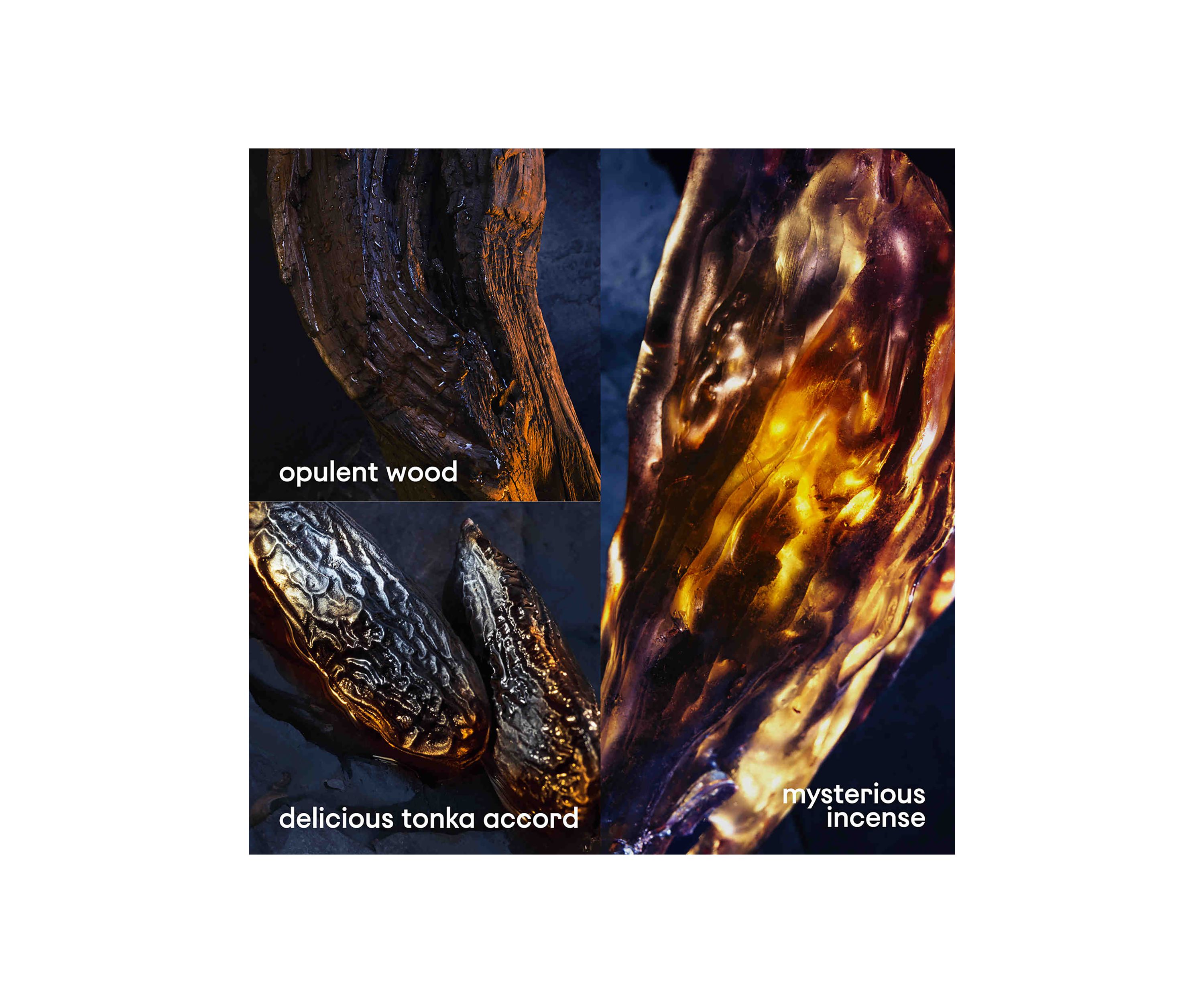 Invictus Victory Elixir 3-Piece Gift Set - $218 Value!