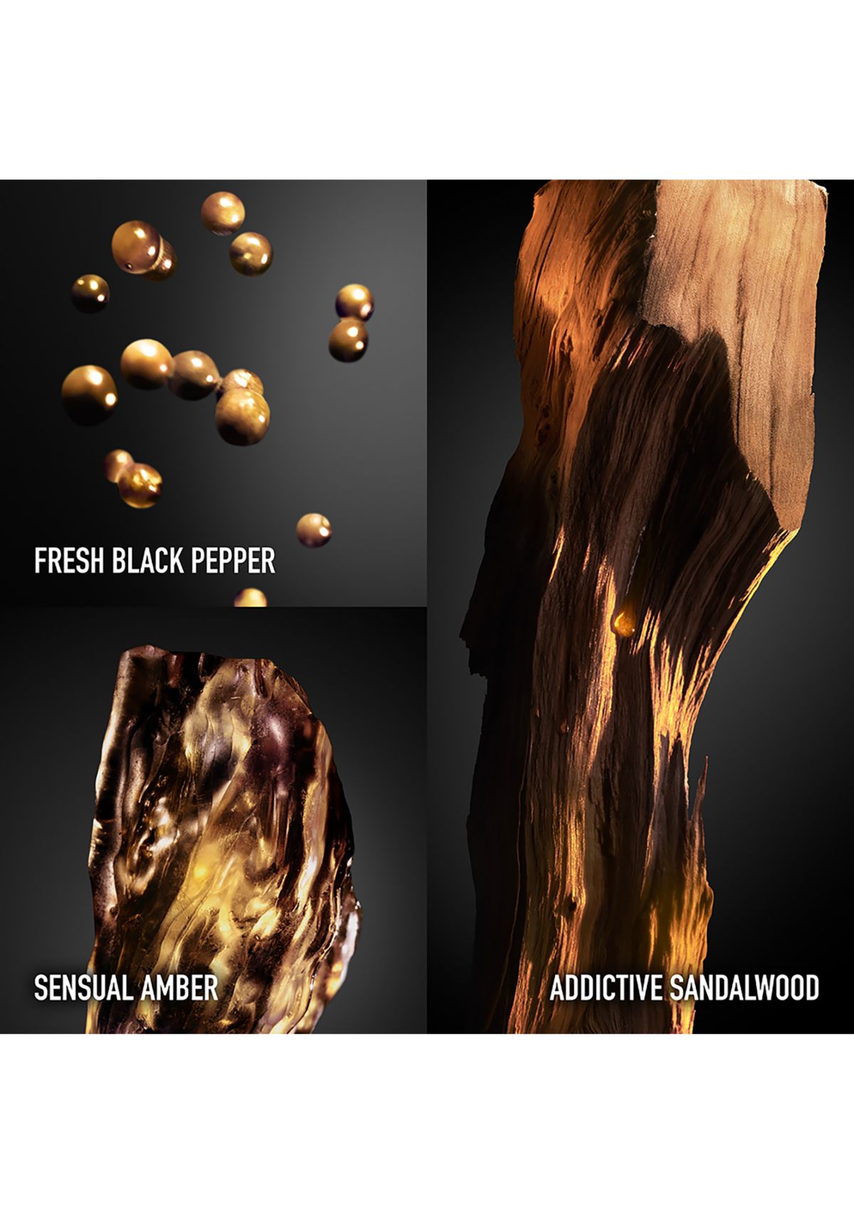 Invictus Victory Absolu Parfum Intense