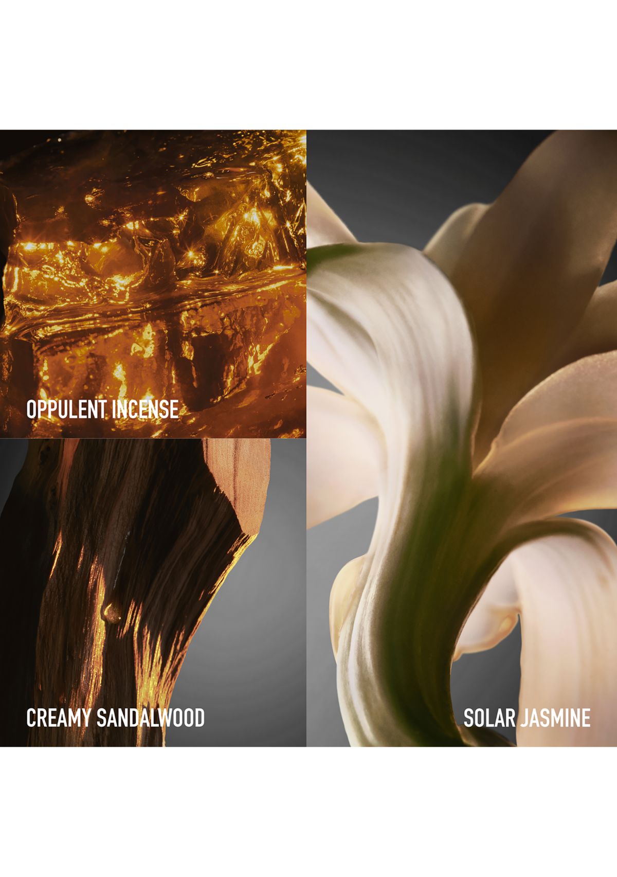 Fame Intense Eau de Parfum 3-Piece Womens Gift Set