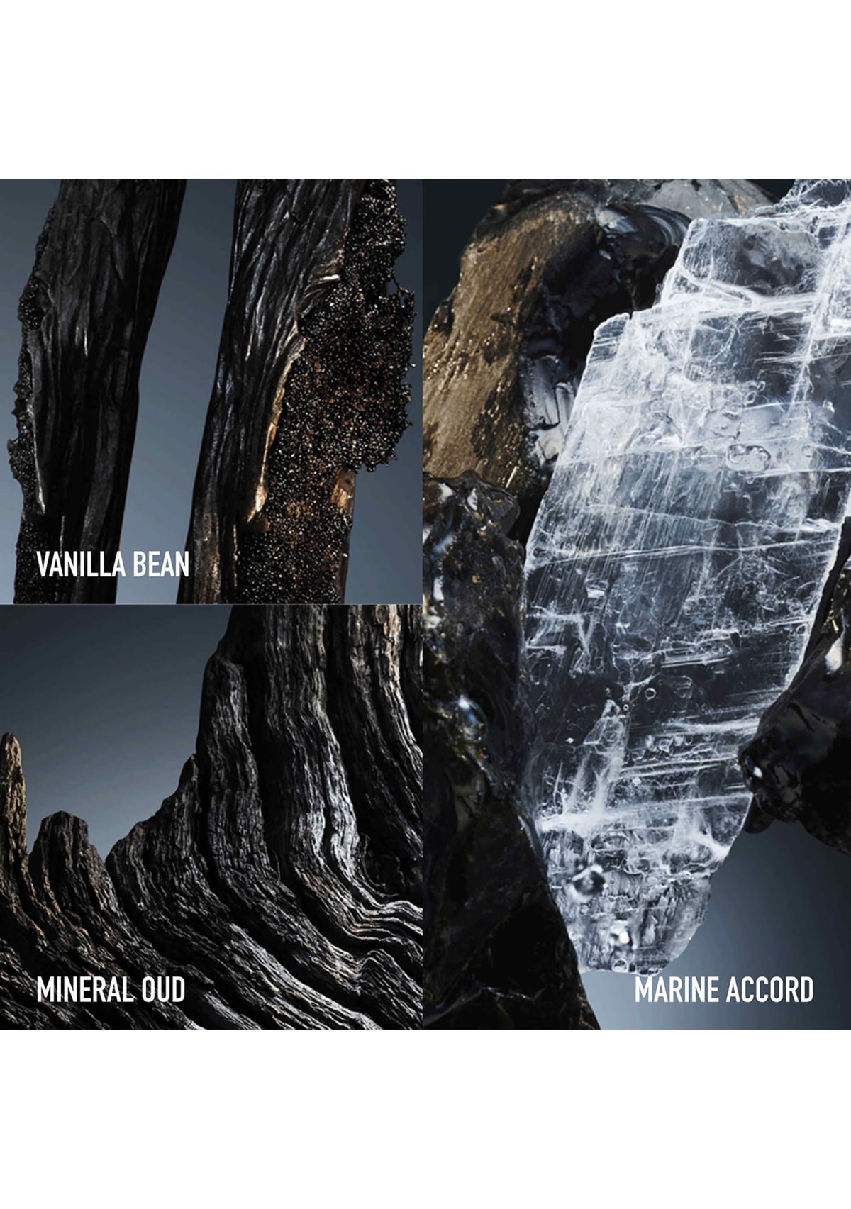 Phantom Elixir Eau de Parfum Intense 