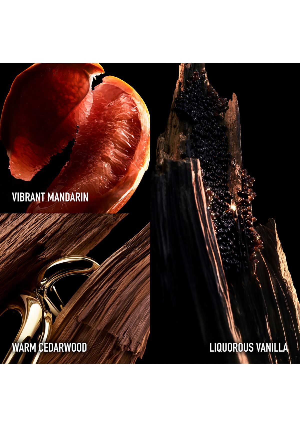 Million Gold Elixir Parfum Intense