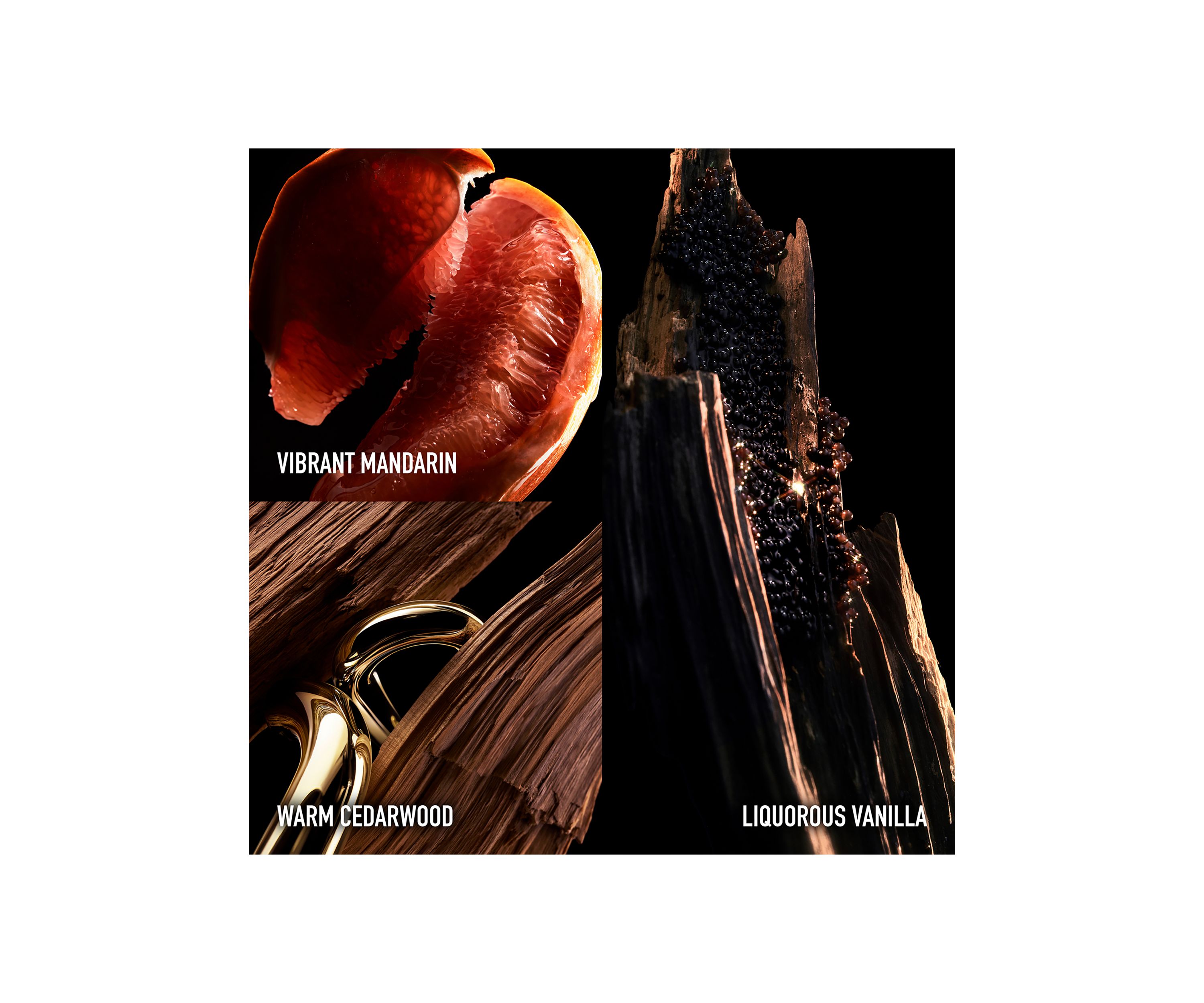 Million Gold Elixir Parfum Intense