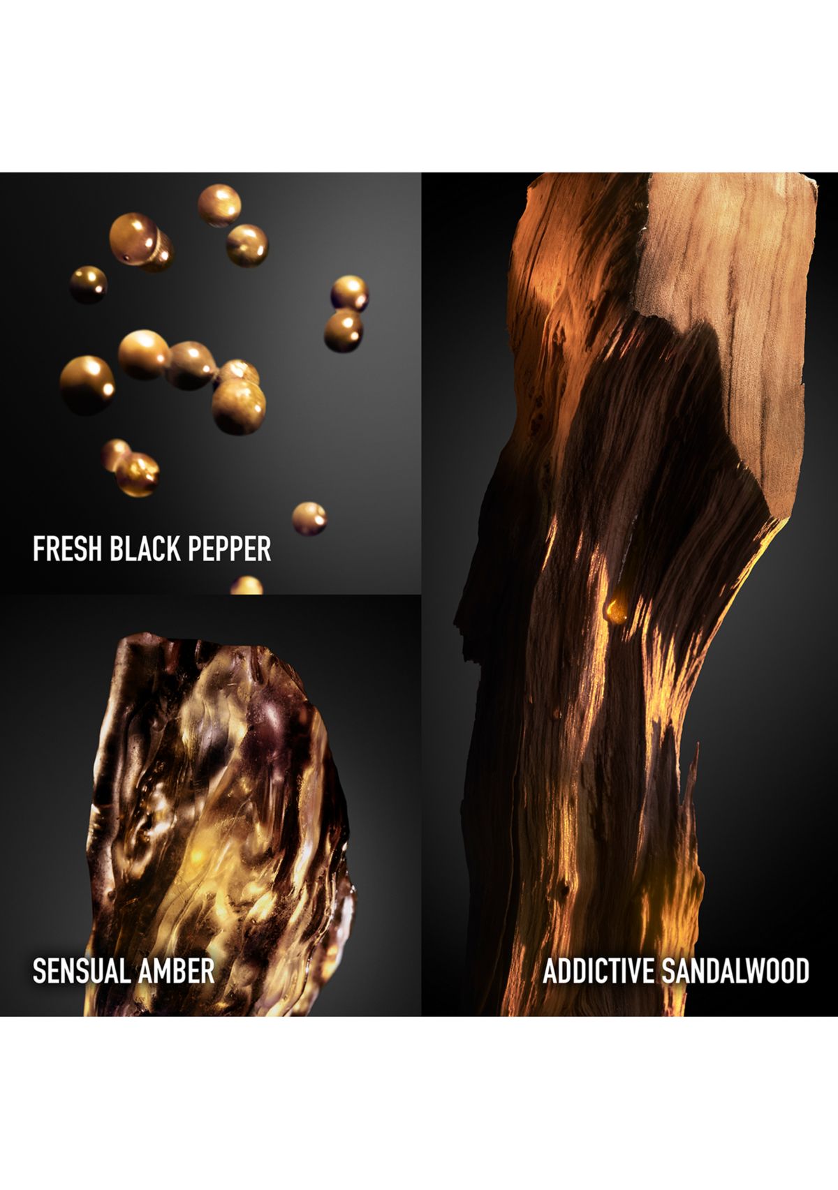 Invictus Absolu 3-Piece Gift Set - $243 Value!