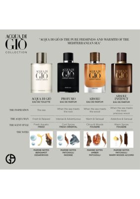 Giorgio Armani Acqua Di Gio Absolu Instinct Eau De Parfum 2 5 Oz Belk