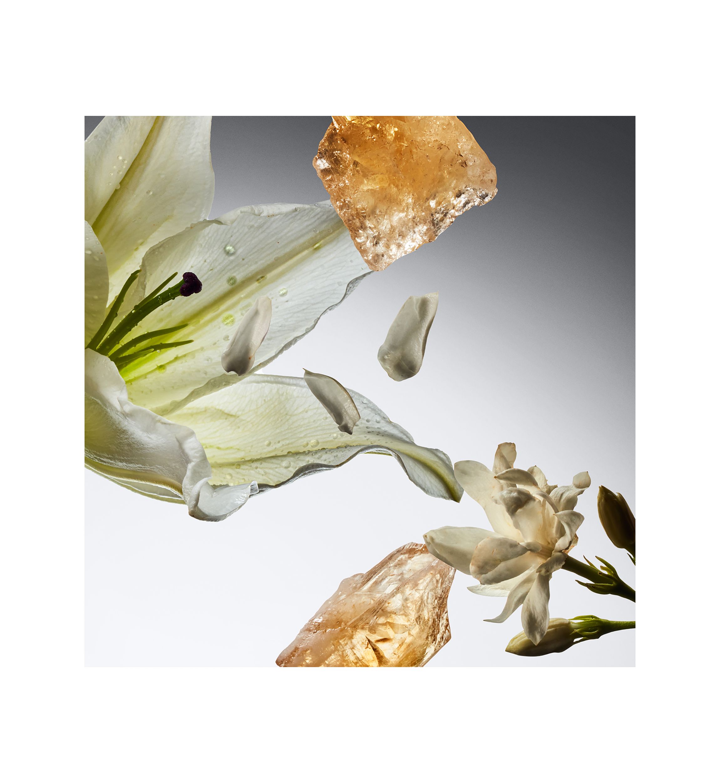 pure grace spray fragrance