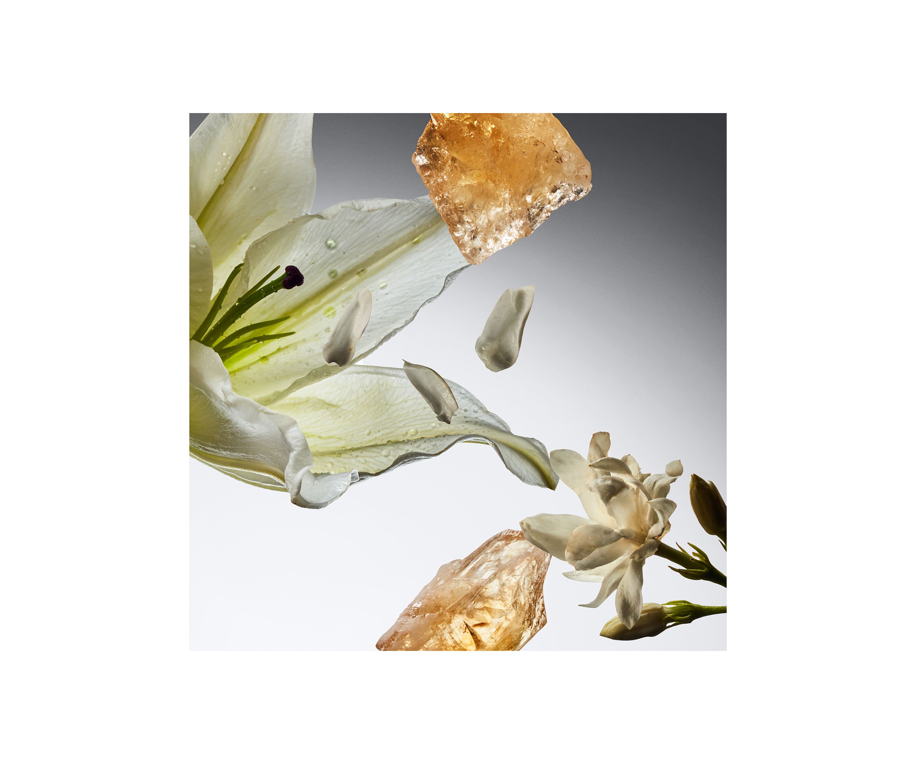 pure grace spray fragrance