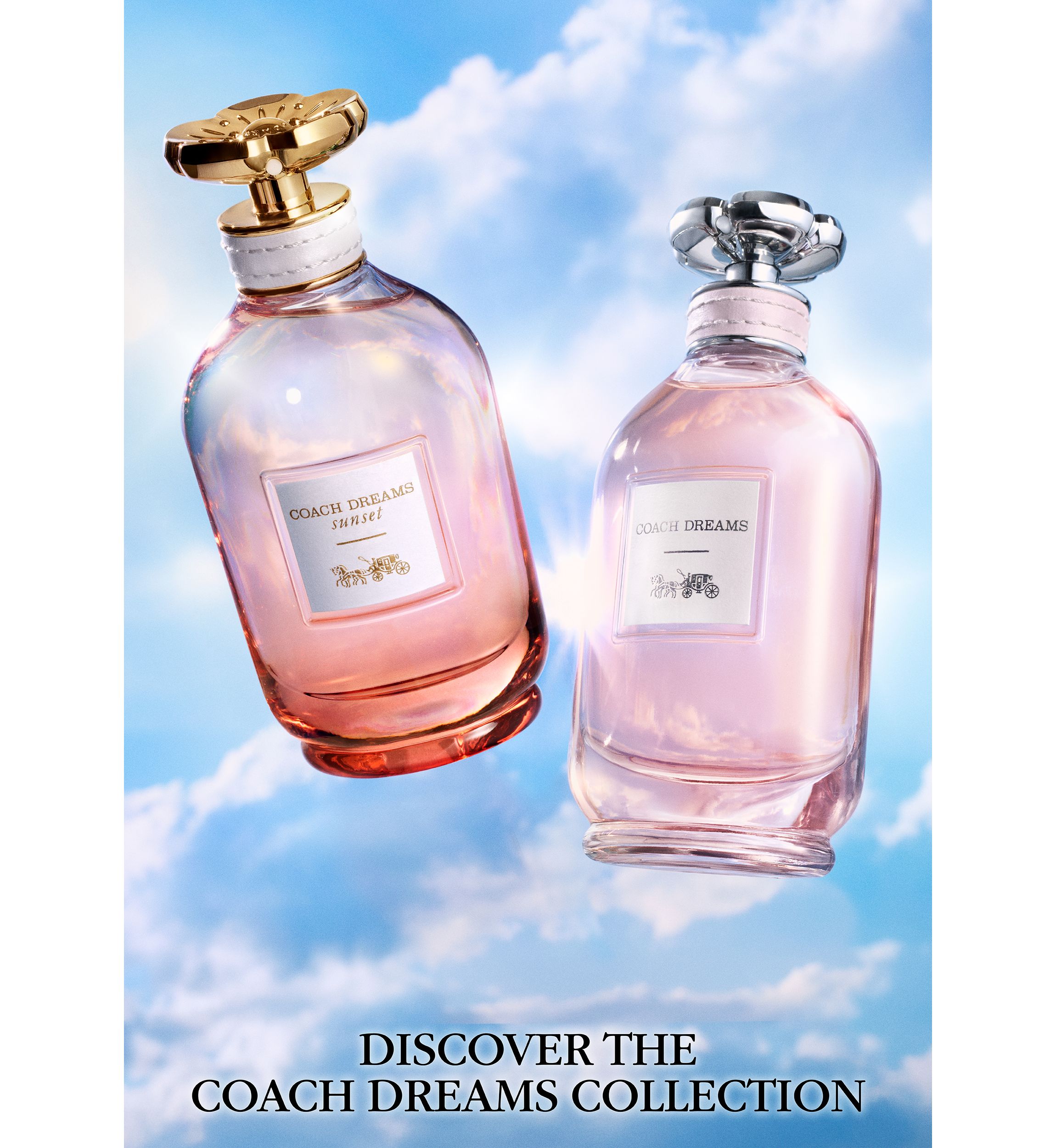 COACH Dreams Sunset Eau de Parfum | Belk