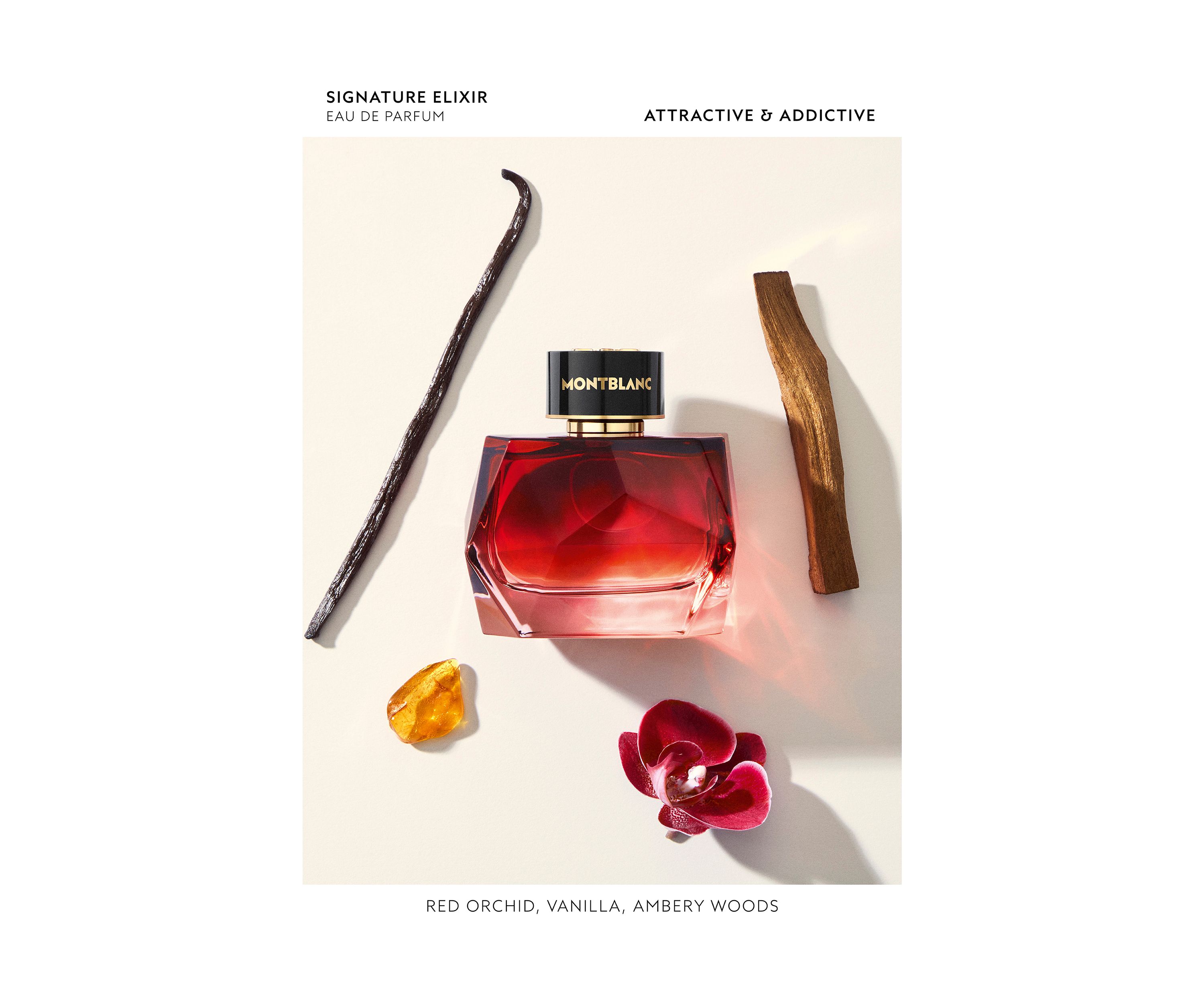 Signature Elixir Eau de Parfum 