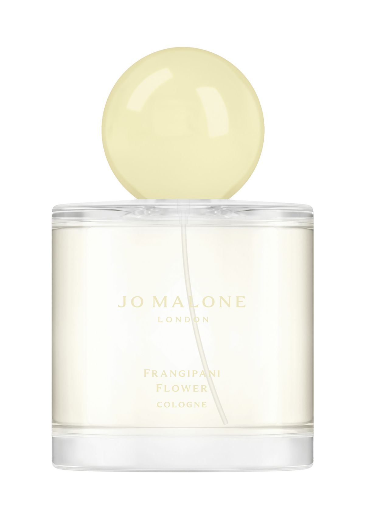 Frangipani Flower Cologne