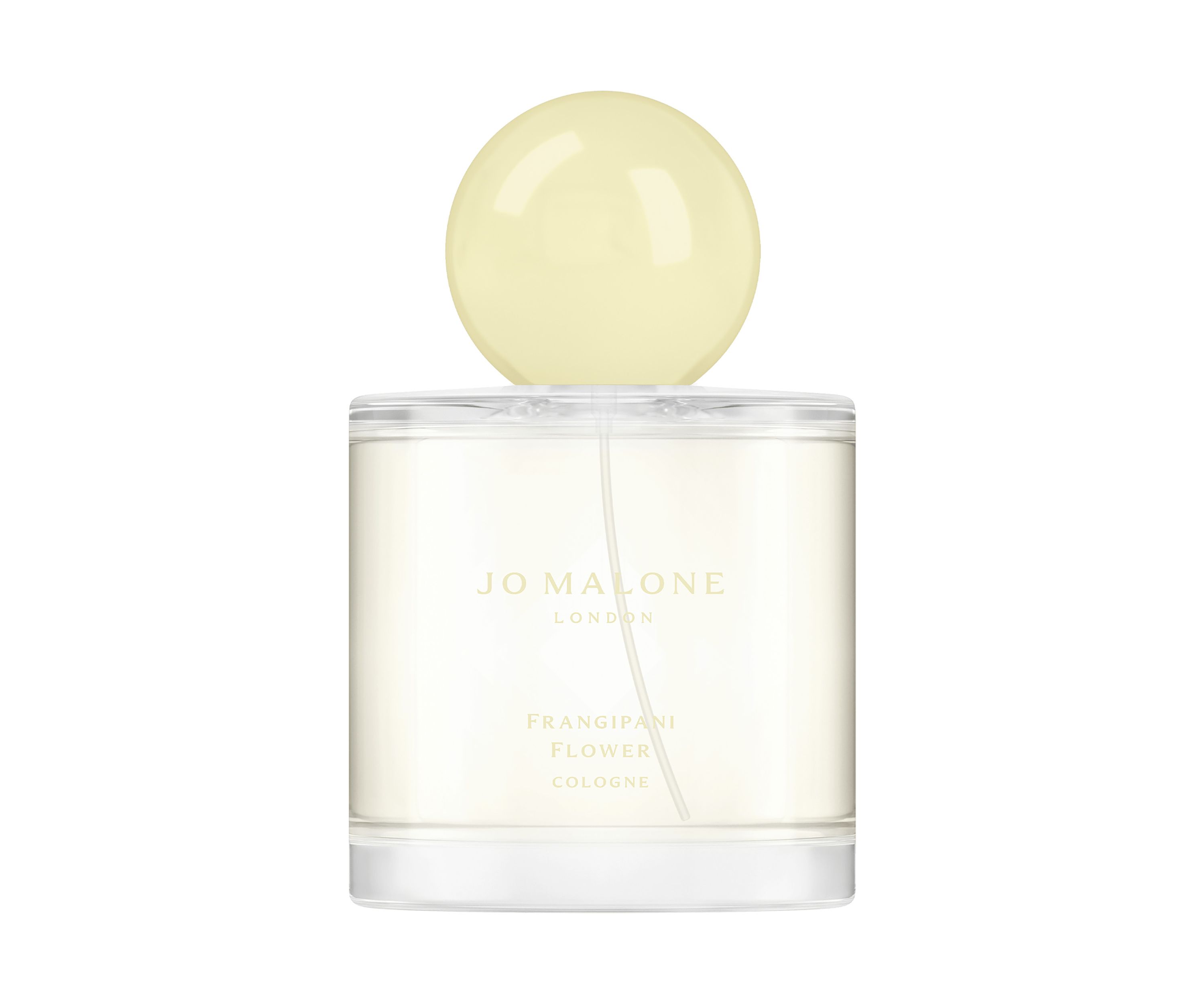 Frangipani Flower Cologne