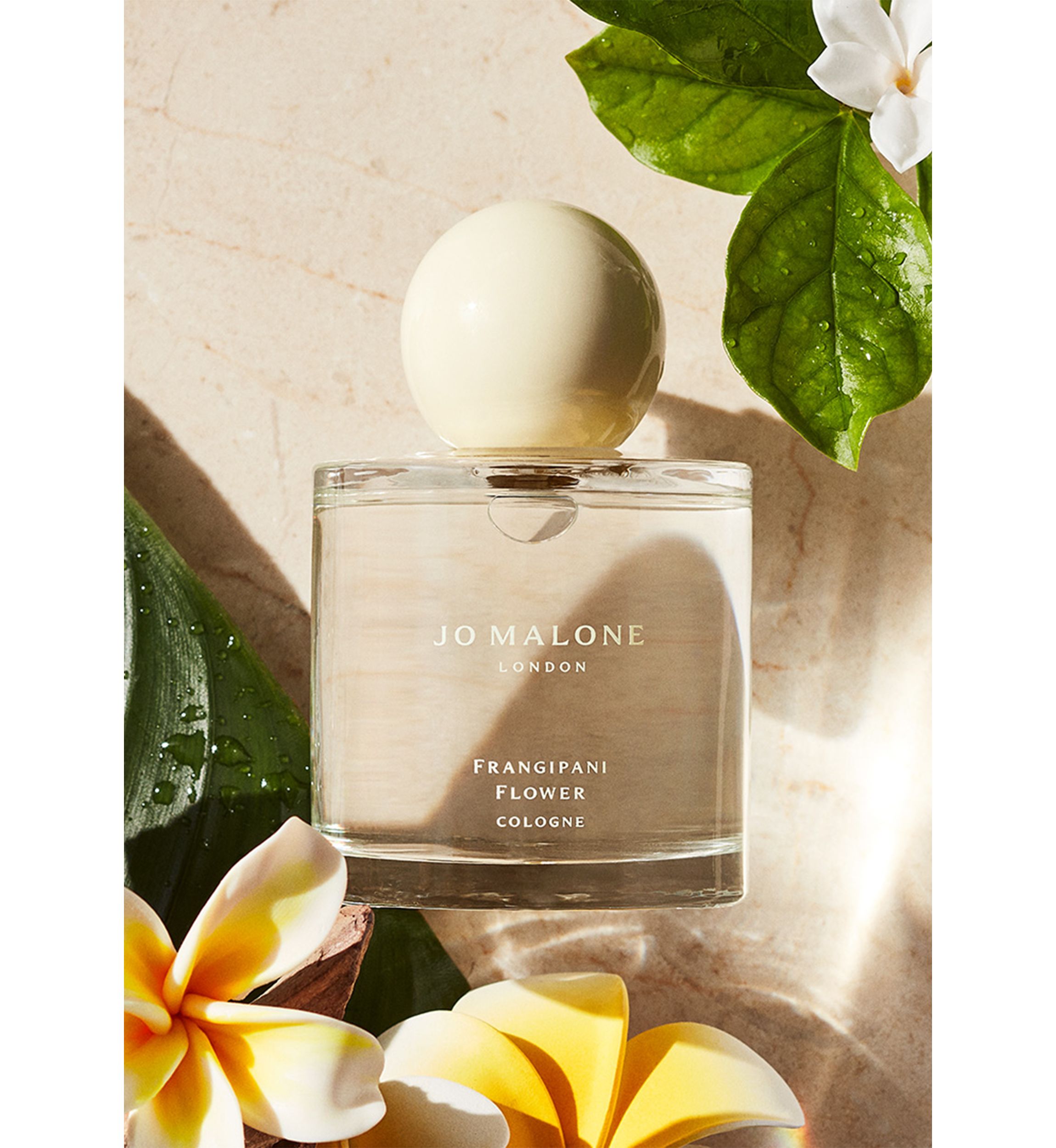 Frangipani Flower Cologne