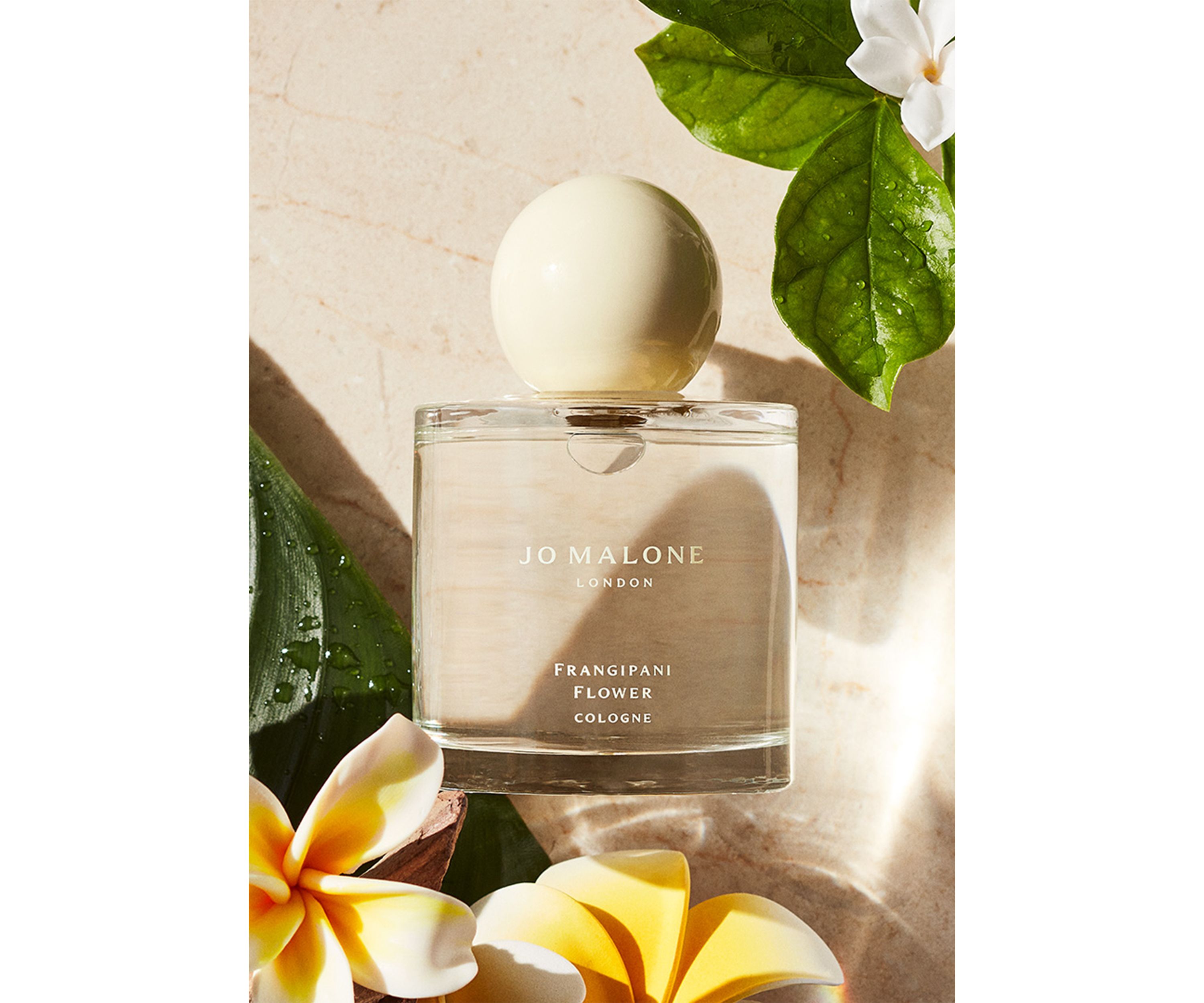 Frangipani Flower Cologne