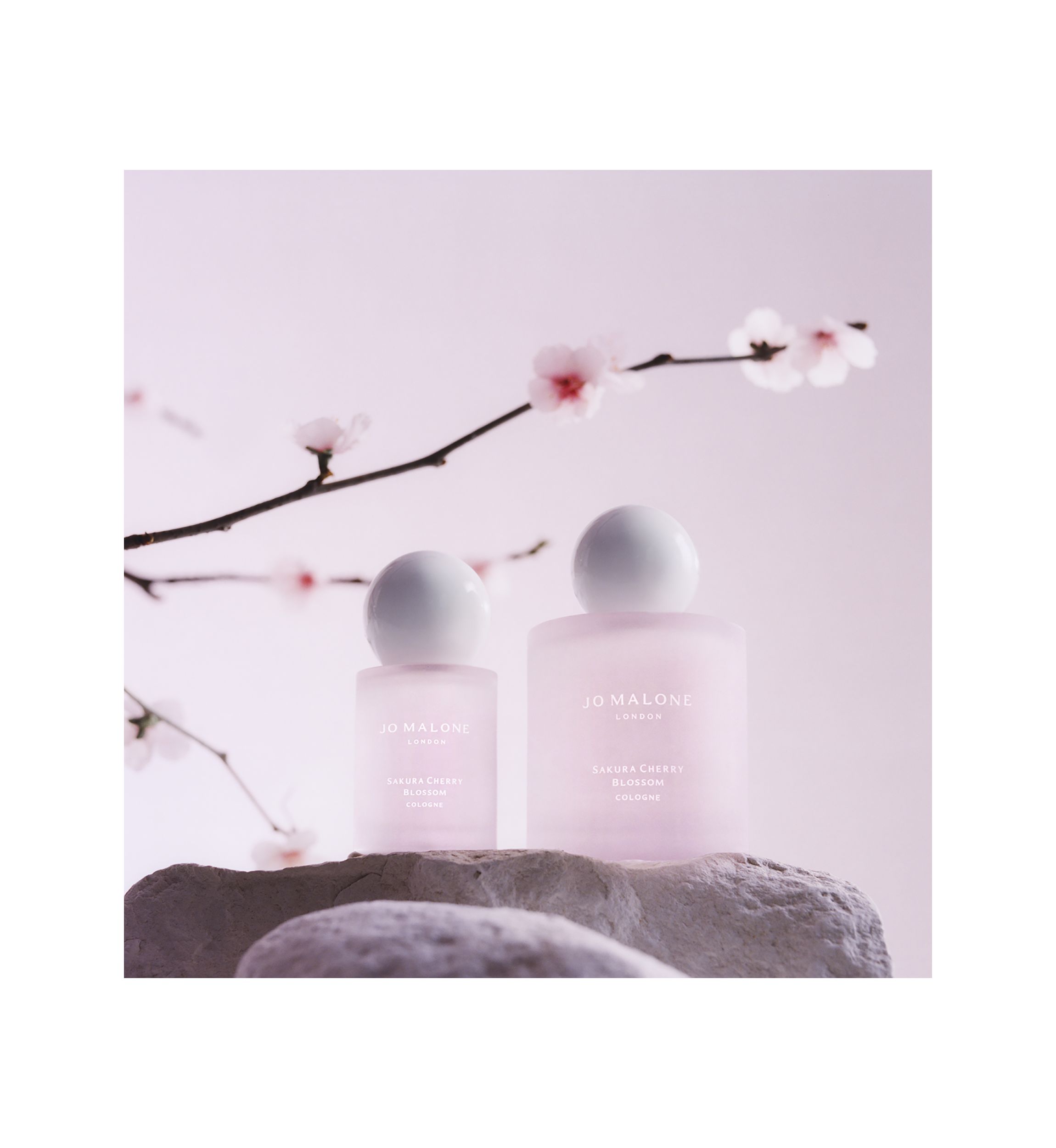 Sakura Cherry Blossom Cologne