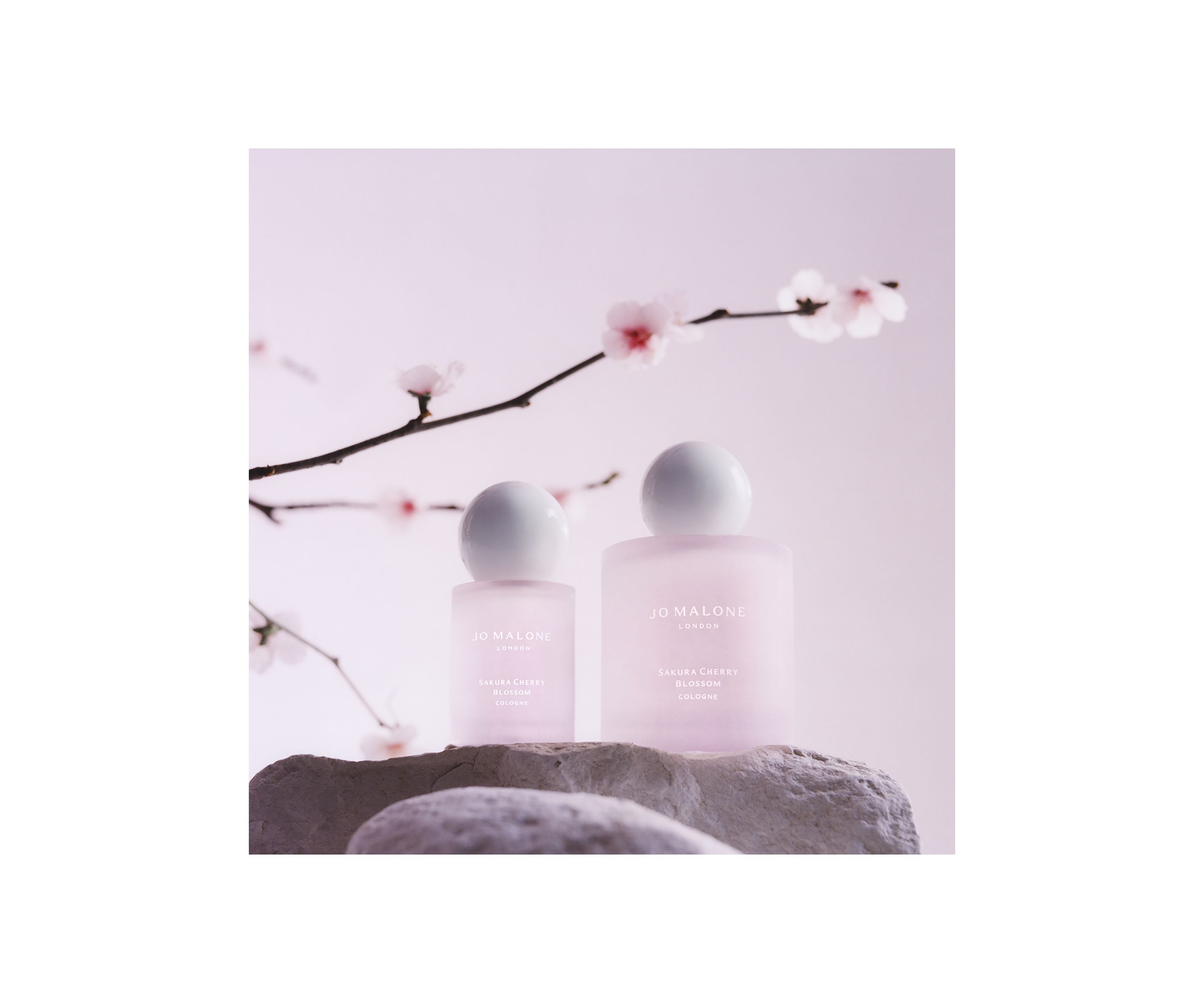 Sakura Cherry Blossom Cologne