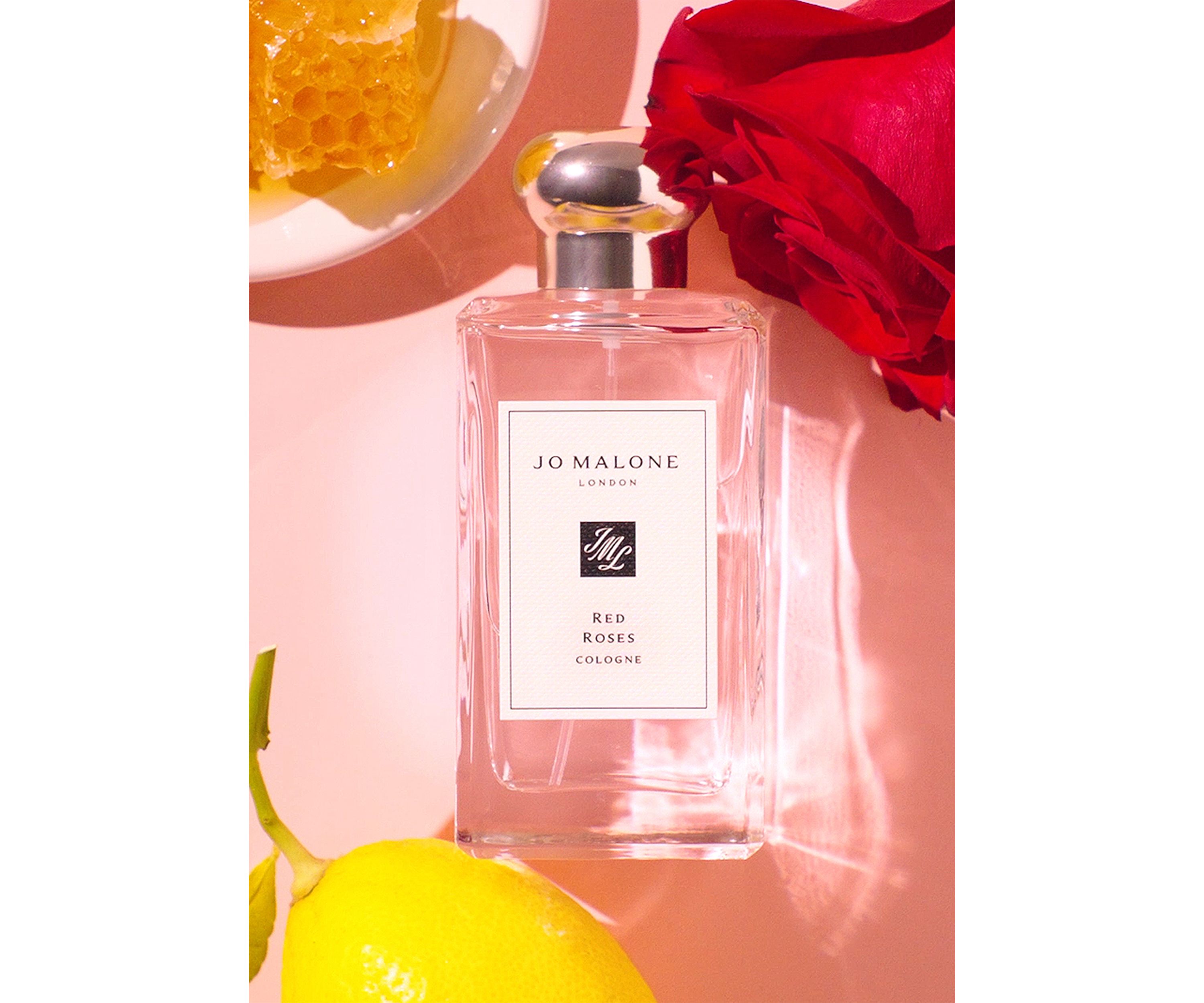 Red Roses Cologne