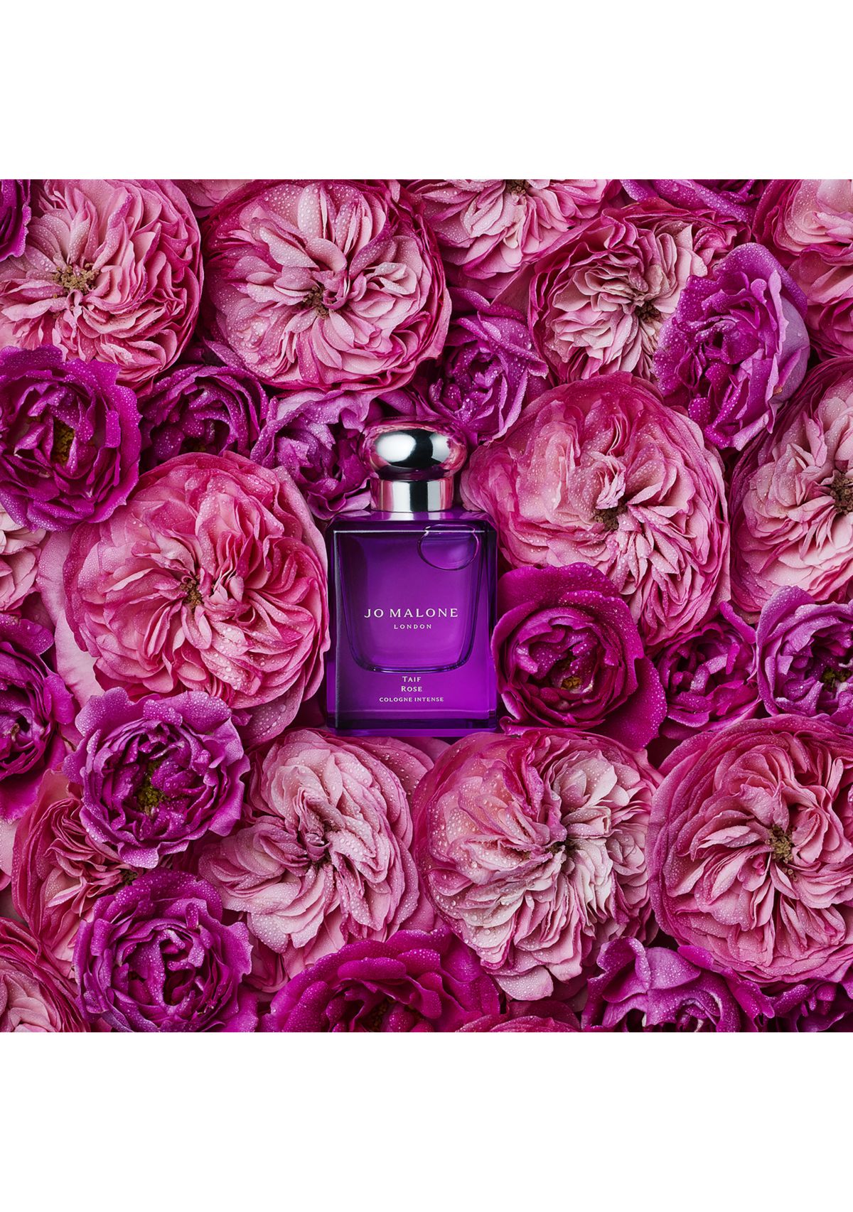 Taif Rose Cologne Intense
