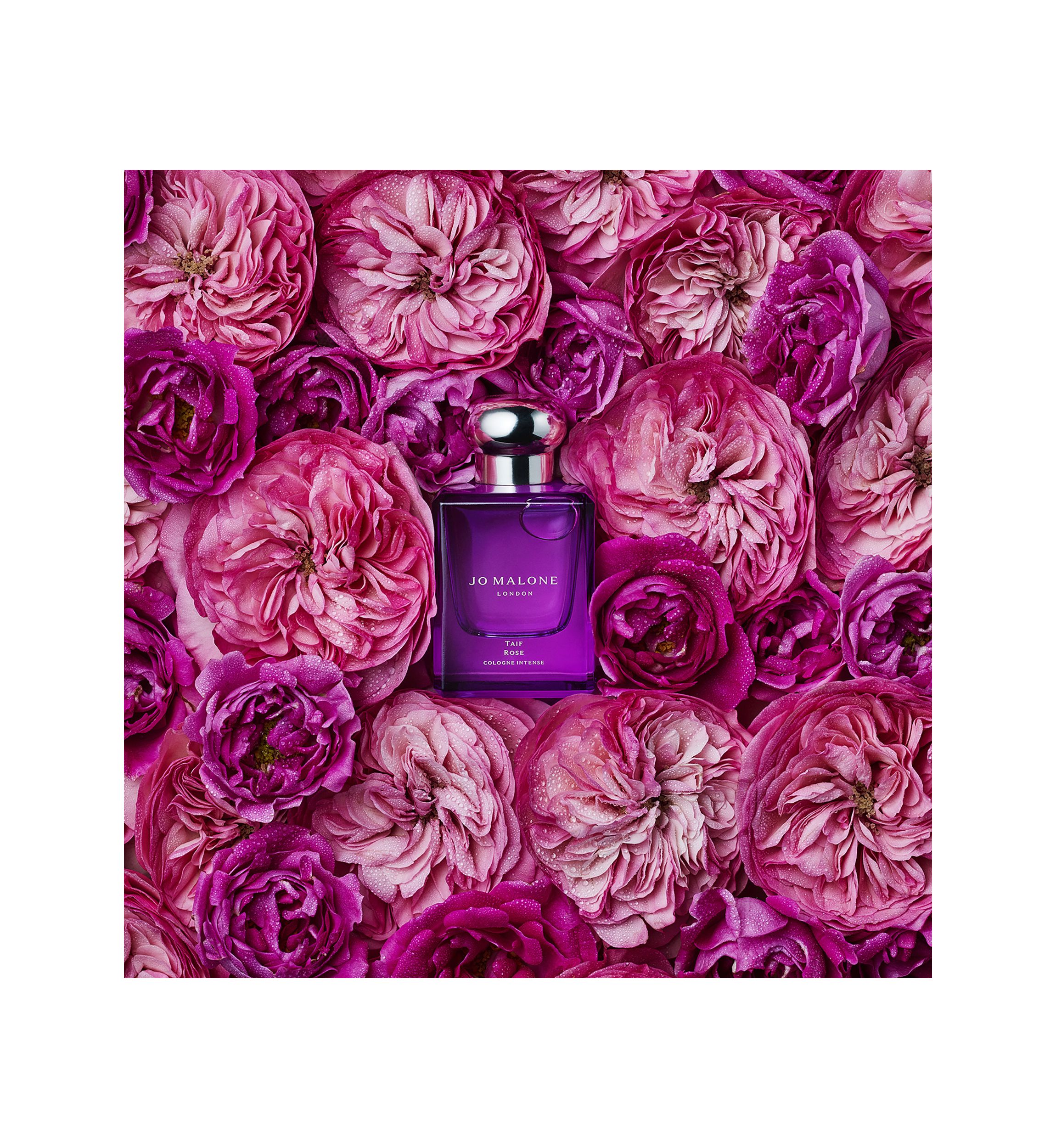 Taif Rose Cologne Intense