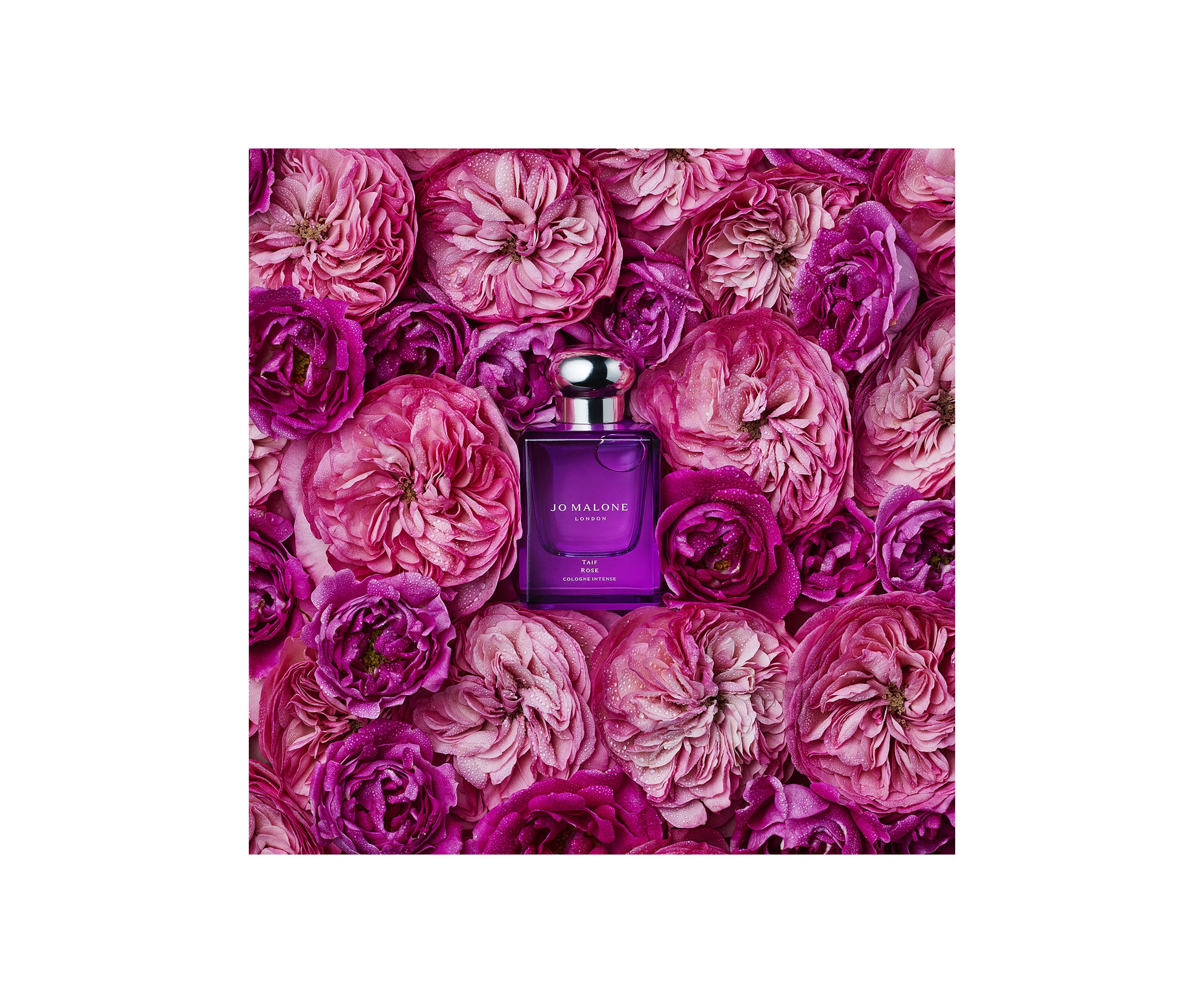 Taif Rose Cologne Intense