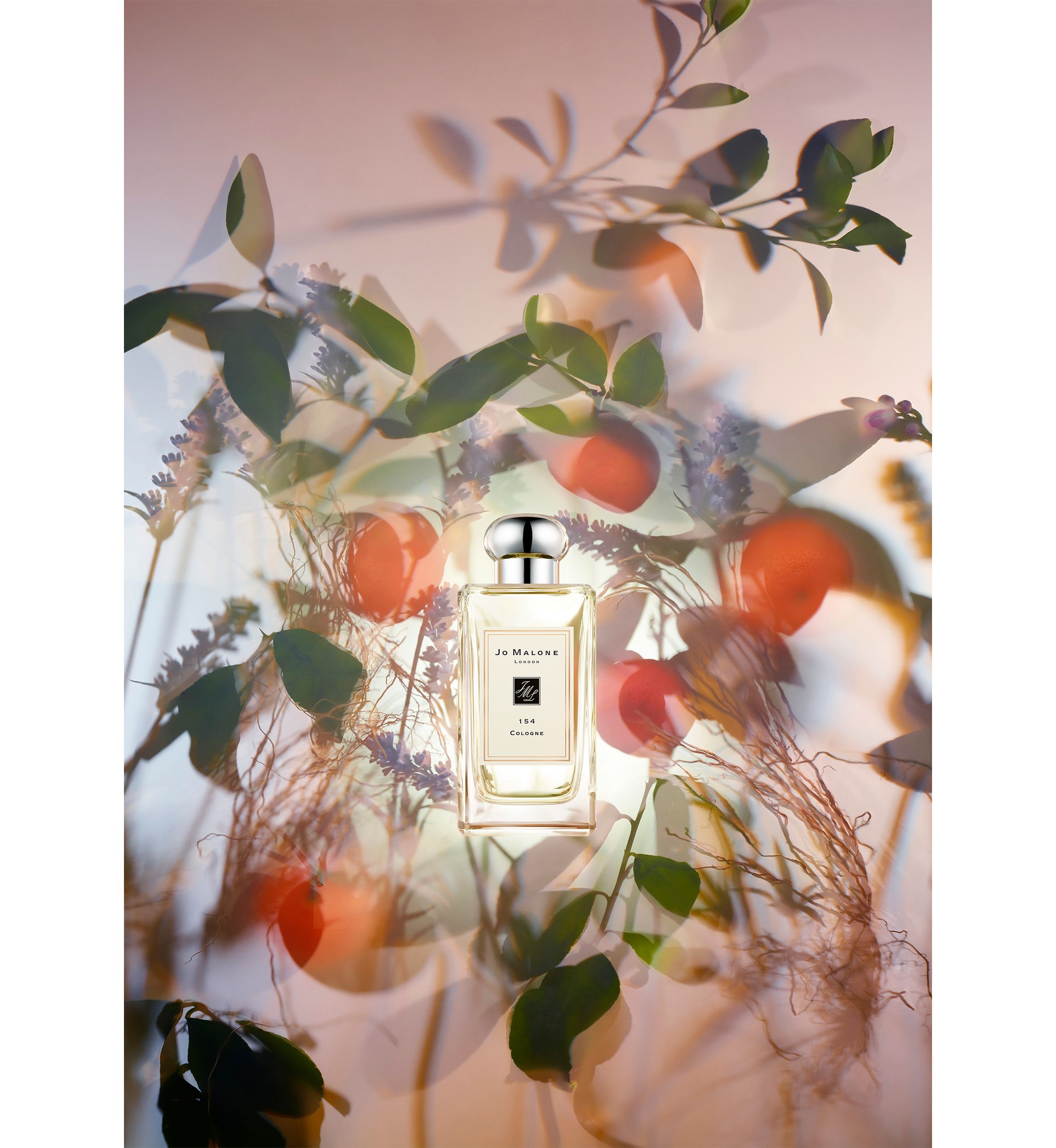 154 Cologne