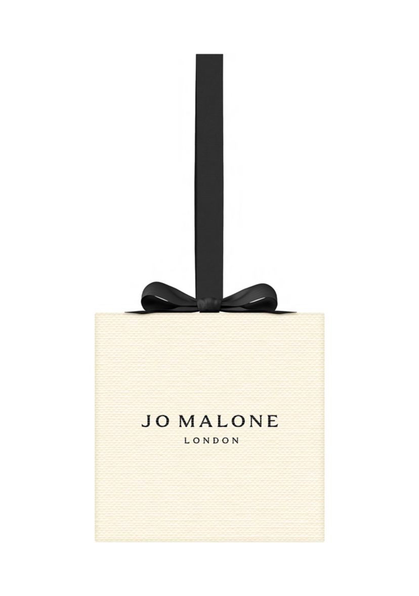 Twelve Day Ornament Collection Holiday Gift Set