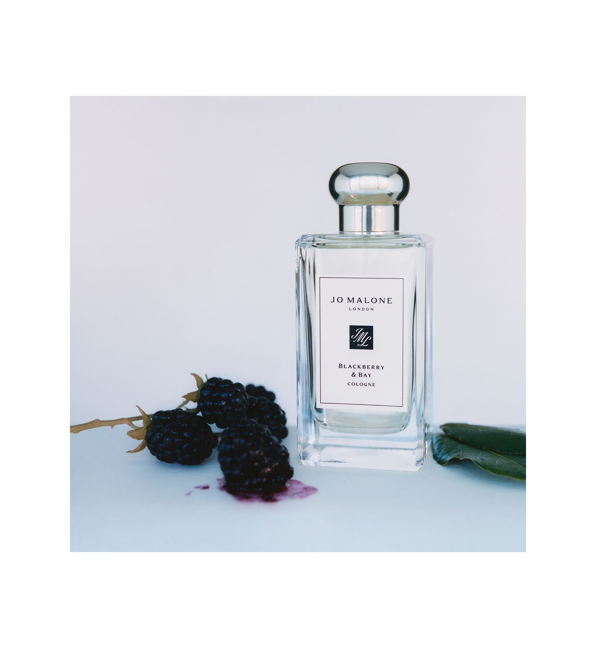 Blackberry & Bay Cologne
