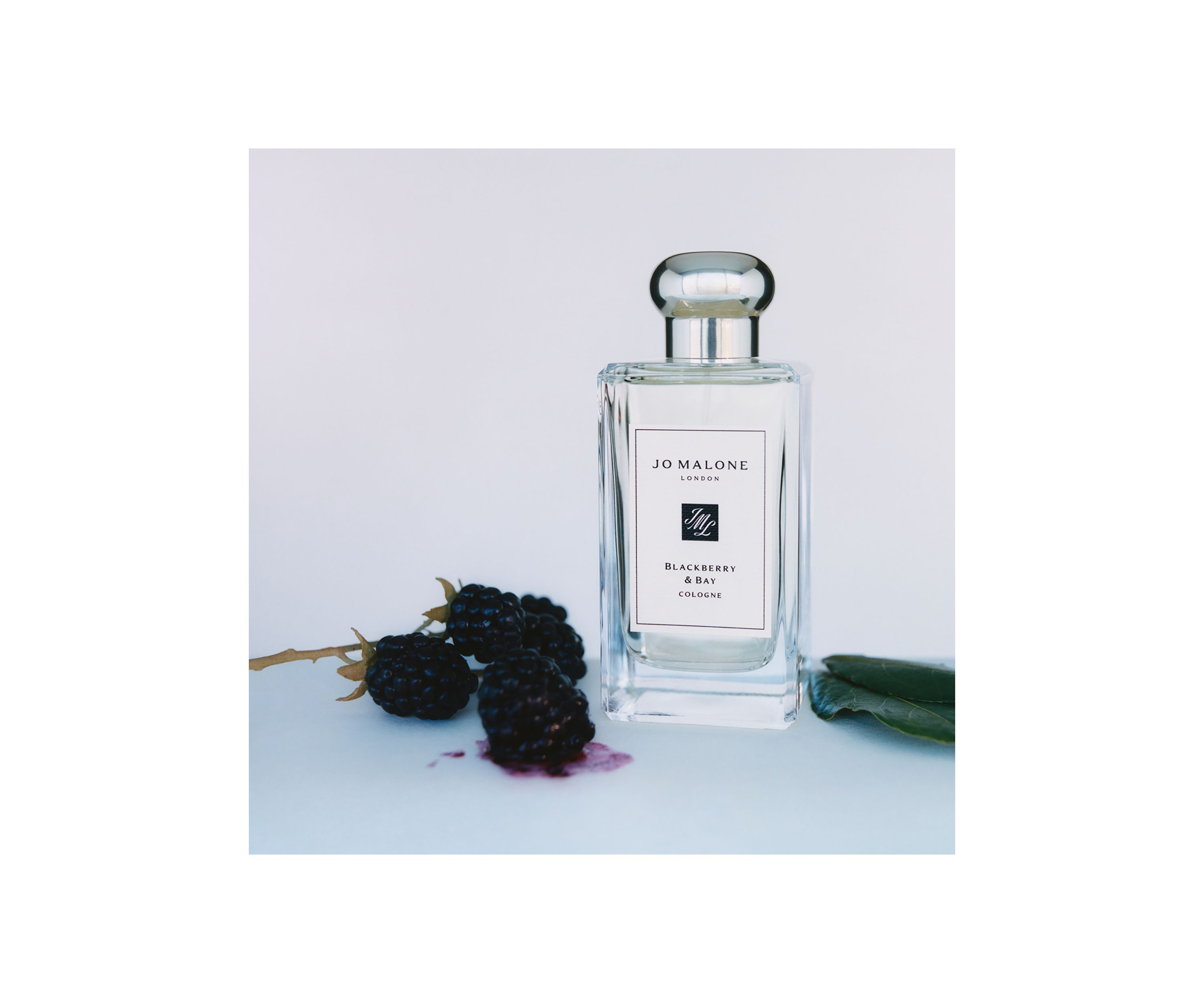 Blackberry & Bay Cologne
