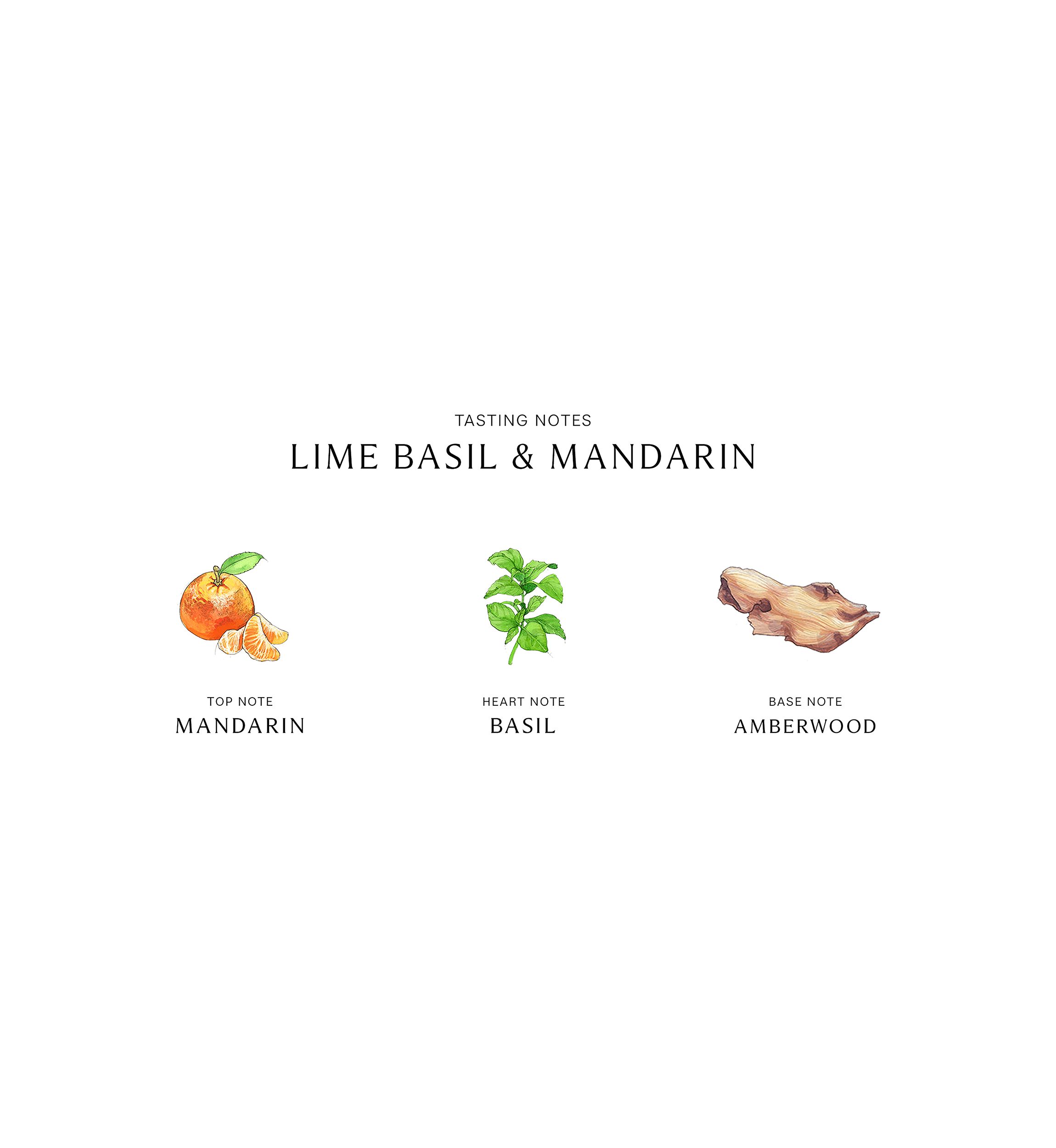 Lime Basil & Mandarin Body Crème