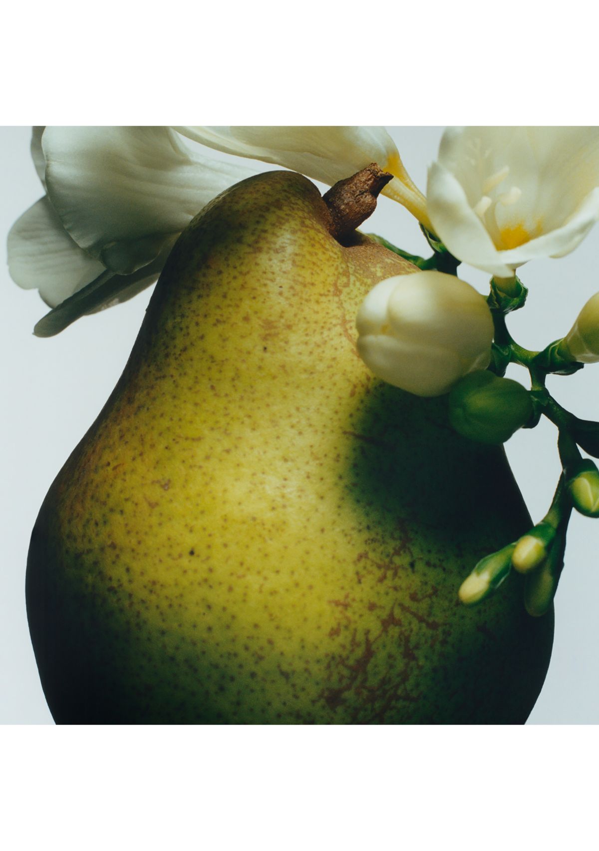 English Pear & Freesia Body Crème