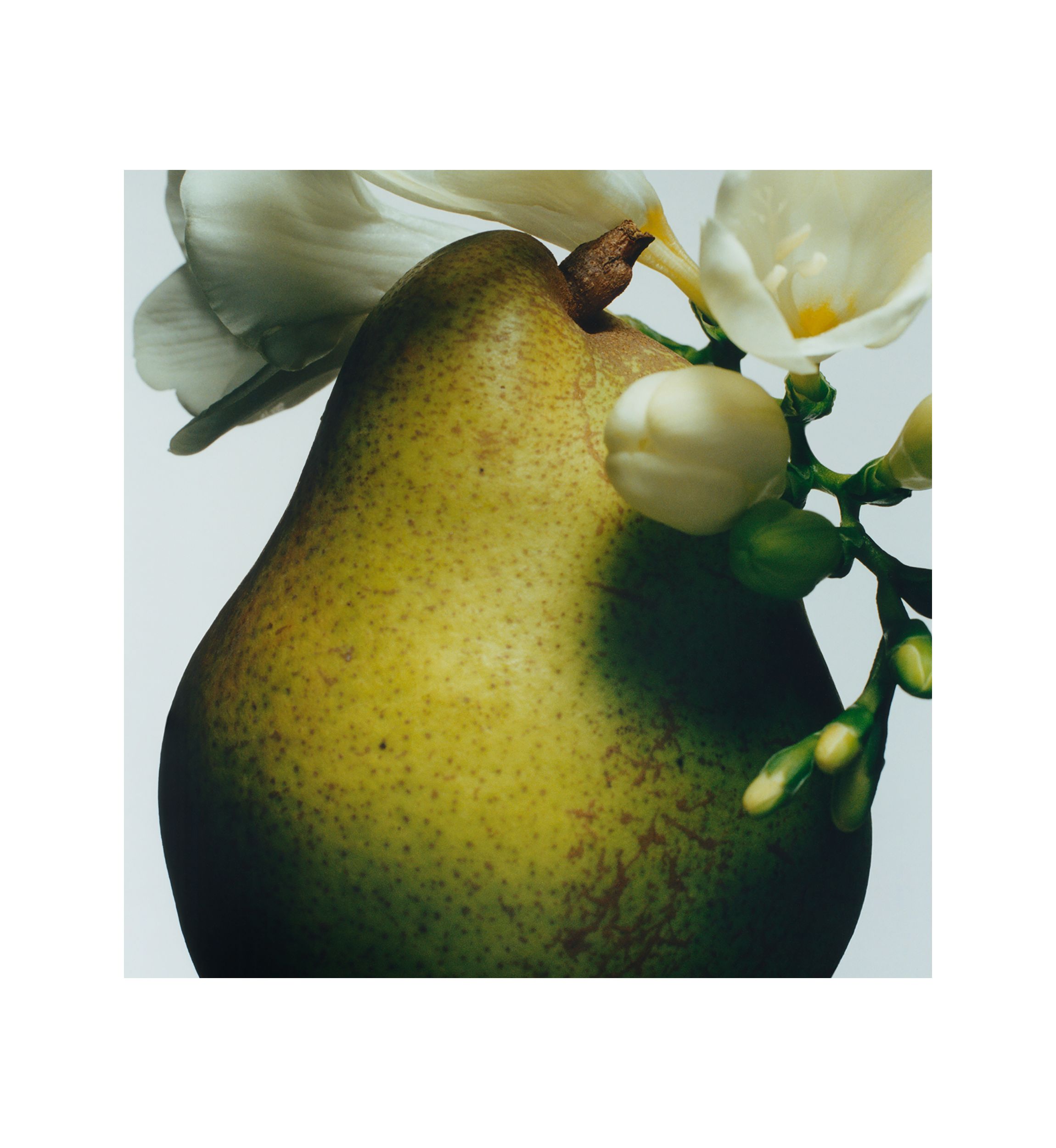 English Pear & Freesia Body Crème