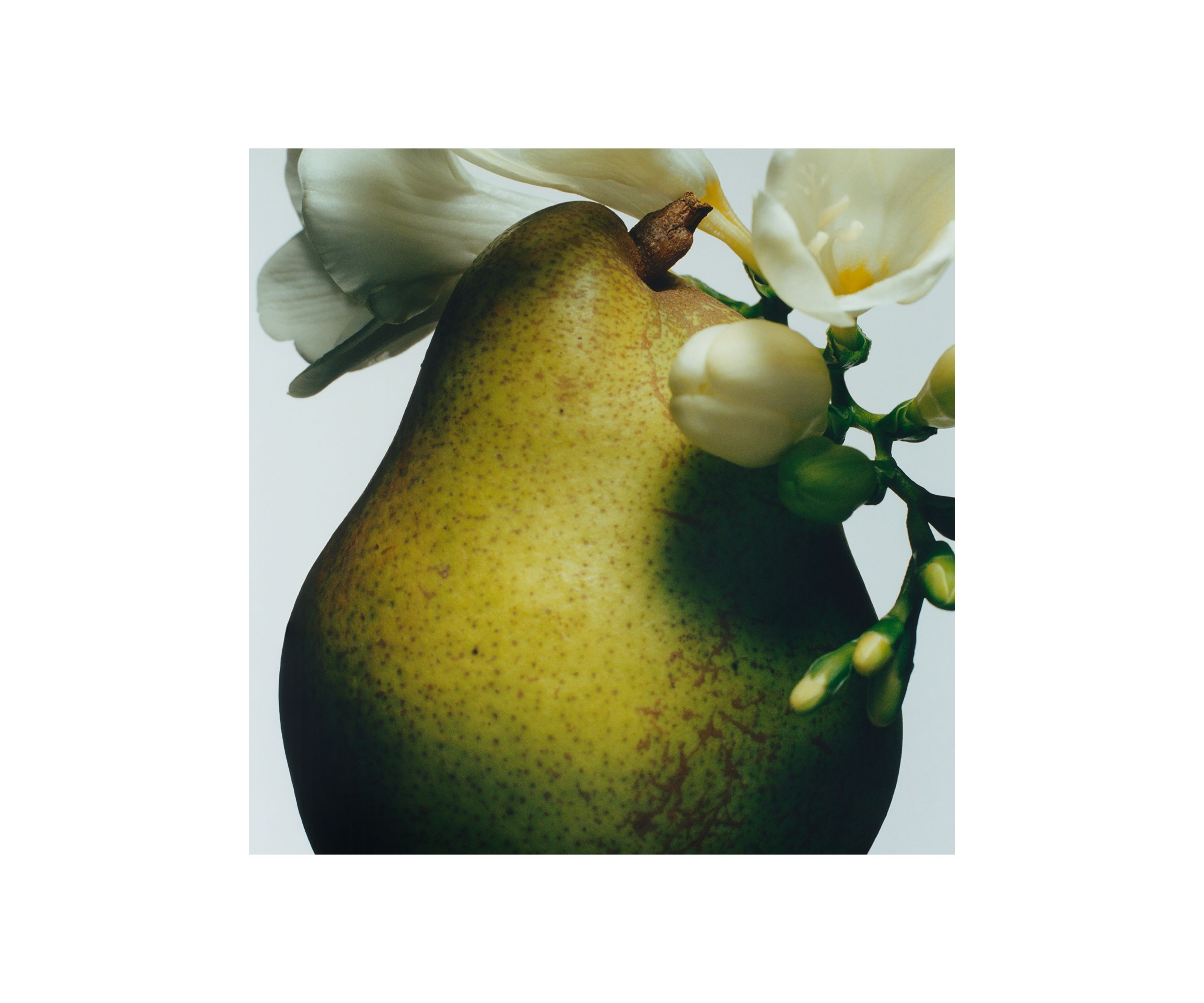 English Pear & Freesia Body Crème