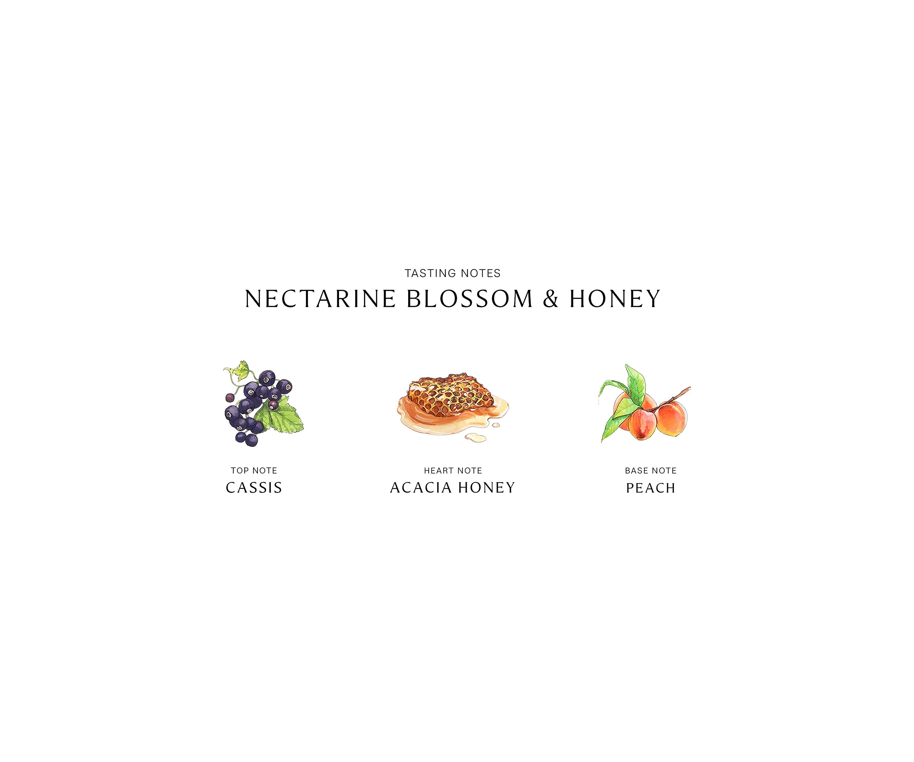 Nectarine Blossom & Honey Body Crème