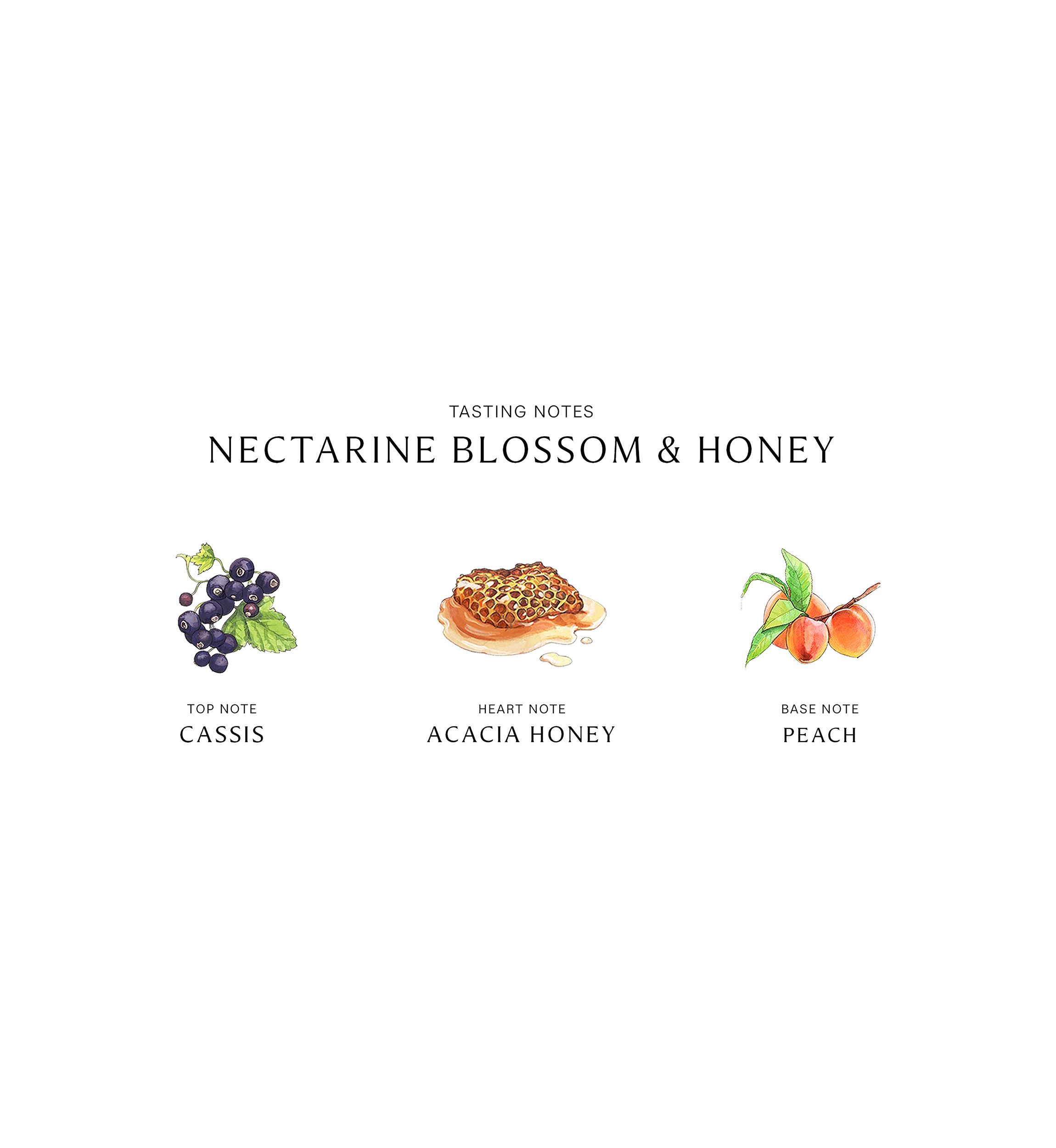 Nectarine Blossom & Honey Body & Hand Lotion