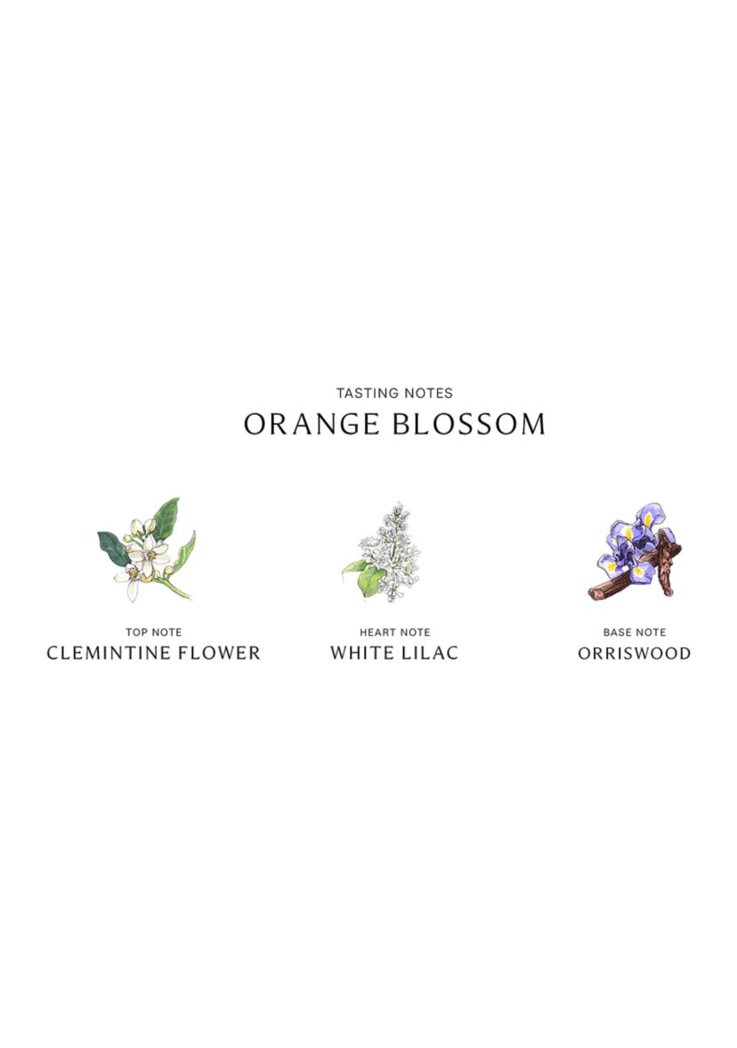 Orange Blossom Body & Hand Lotion